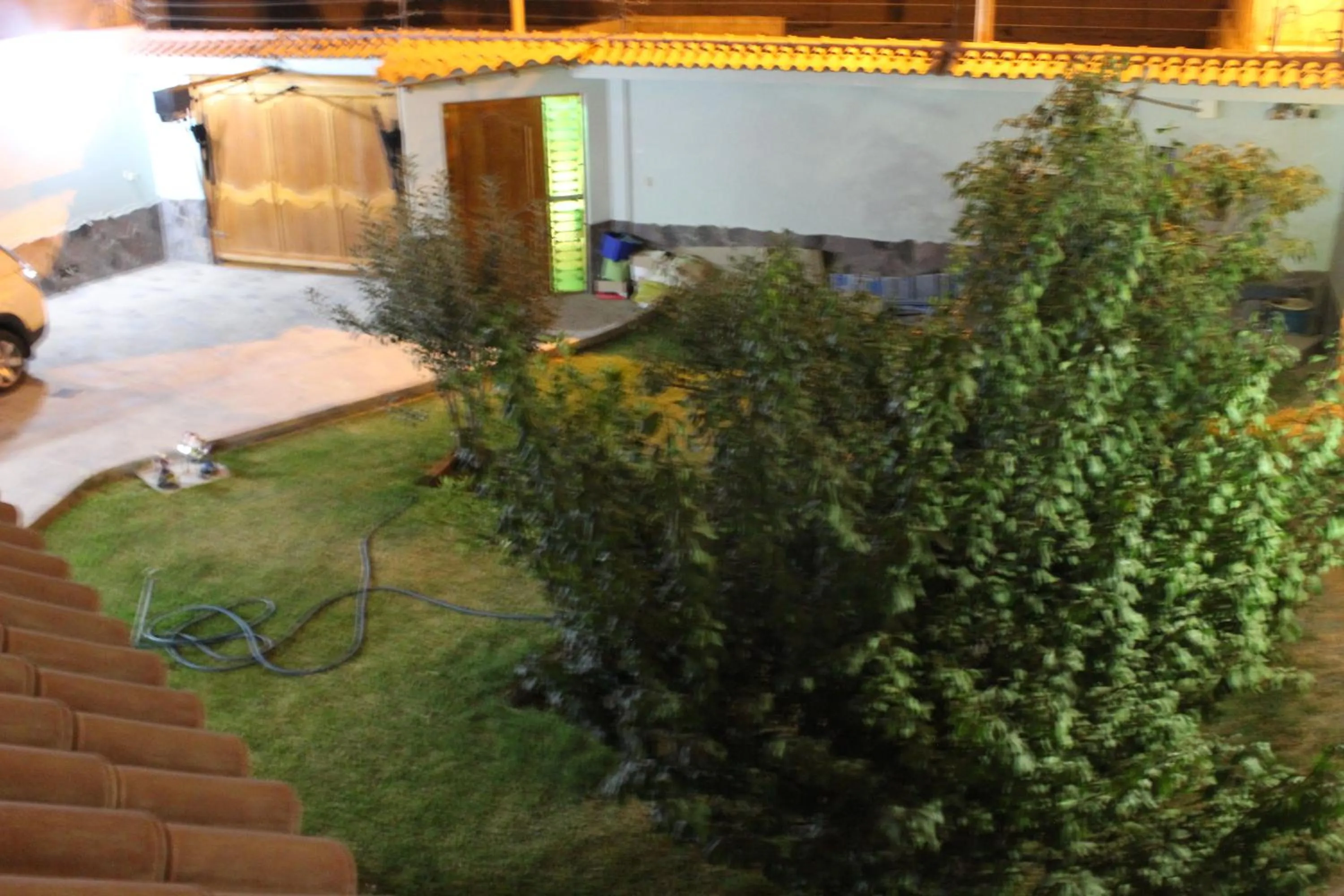 Garden in The House