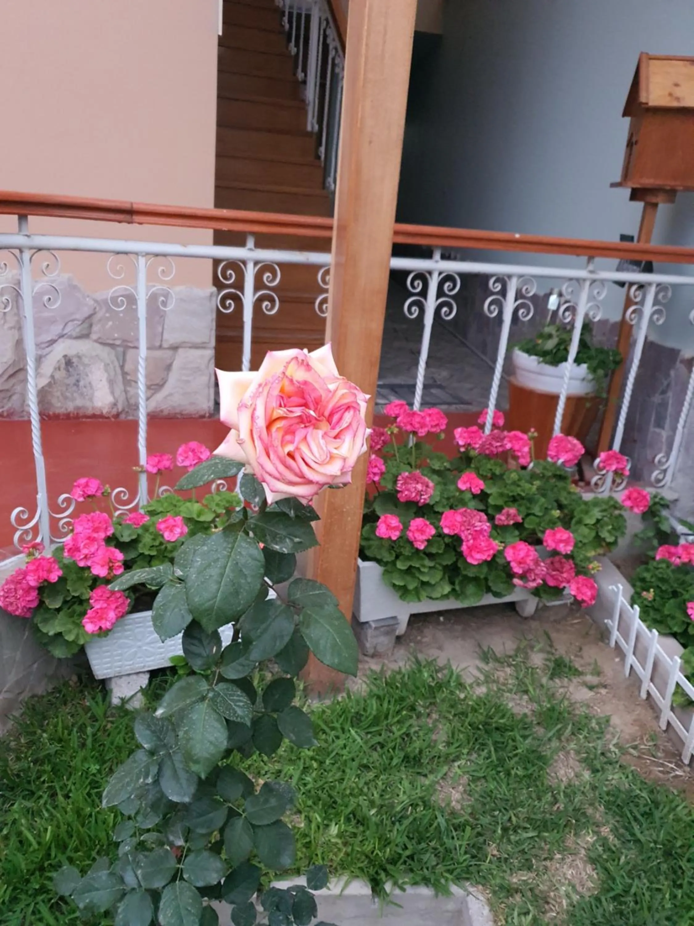 The House
