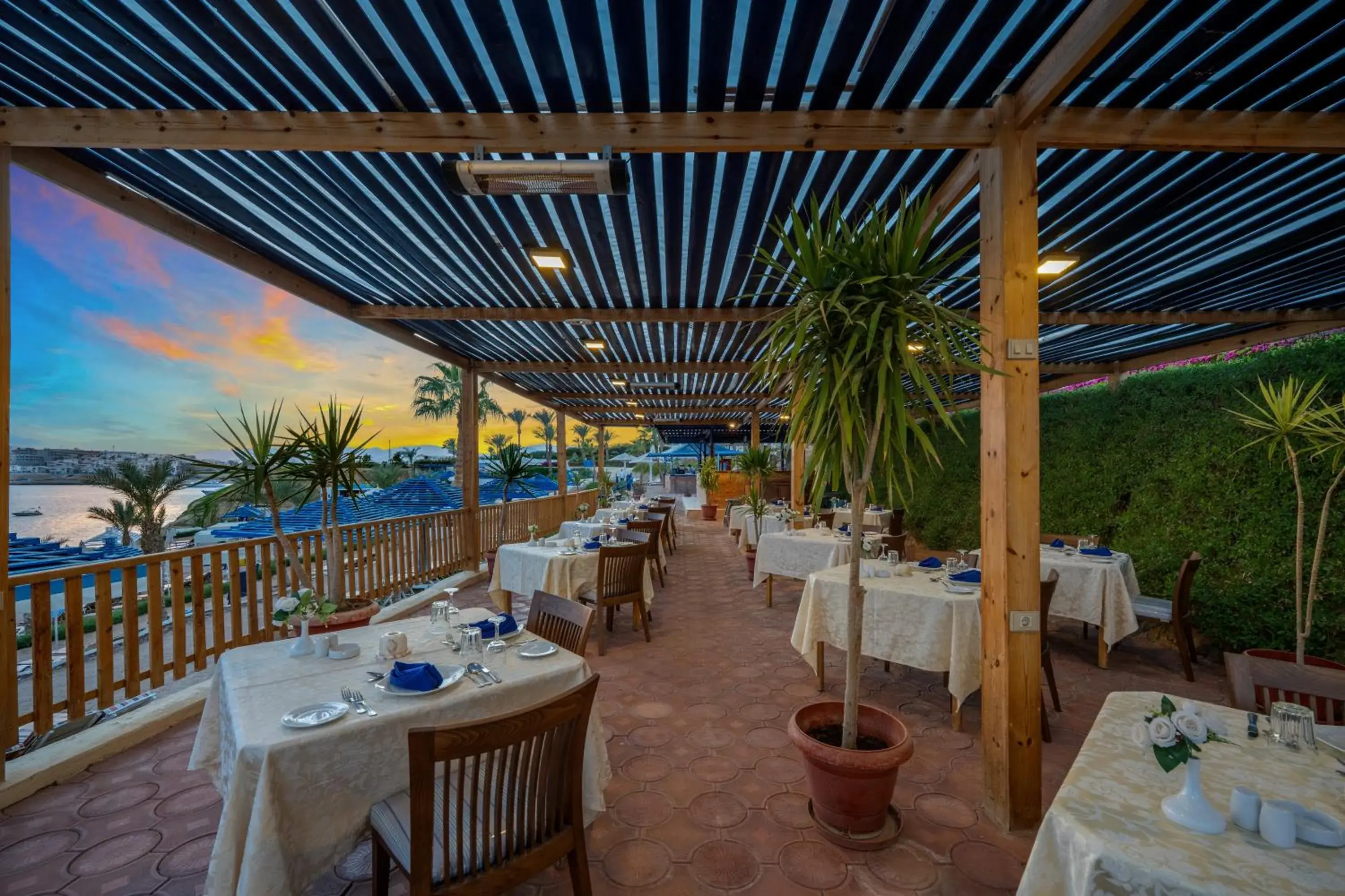 Restaurant/places to eat in Grand Oasis Resort Restaurant/places to eat in Grand Oasis Resort