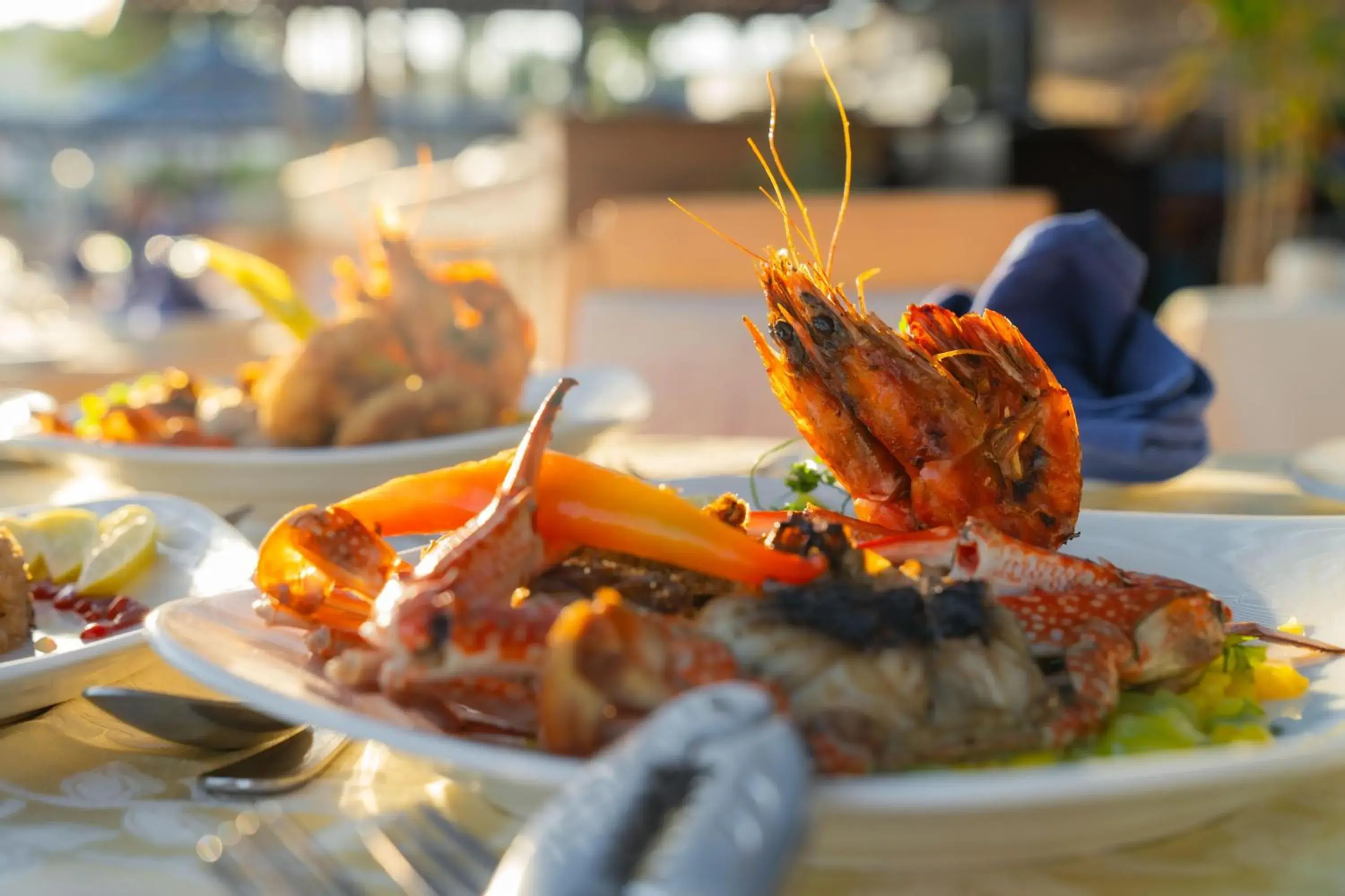 Restaurant/places to eat in Grand Oasis Resort Restaurant/places to eat in Grand Oasis Resort