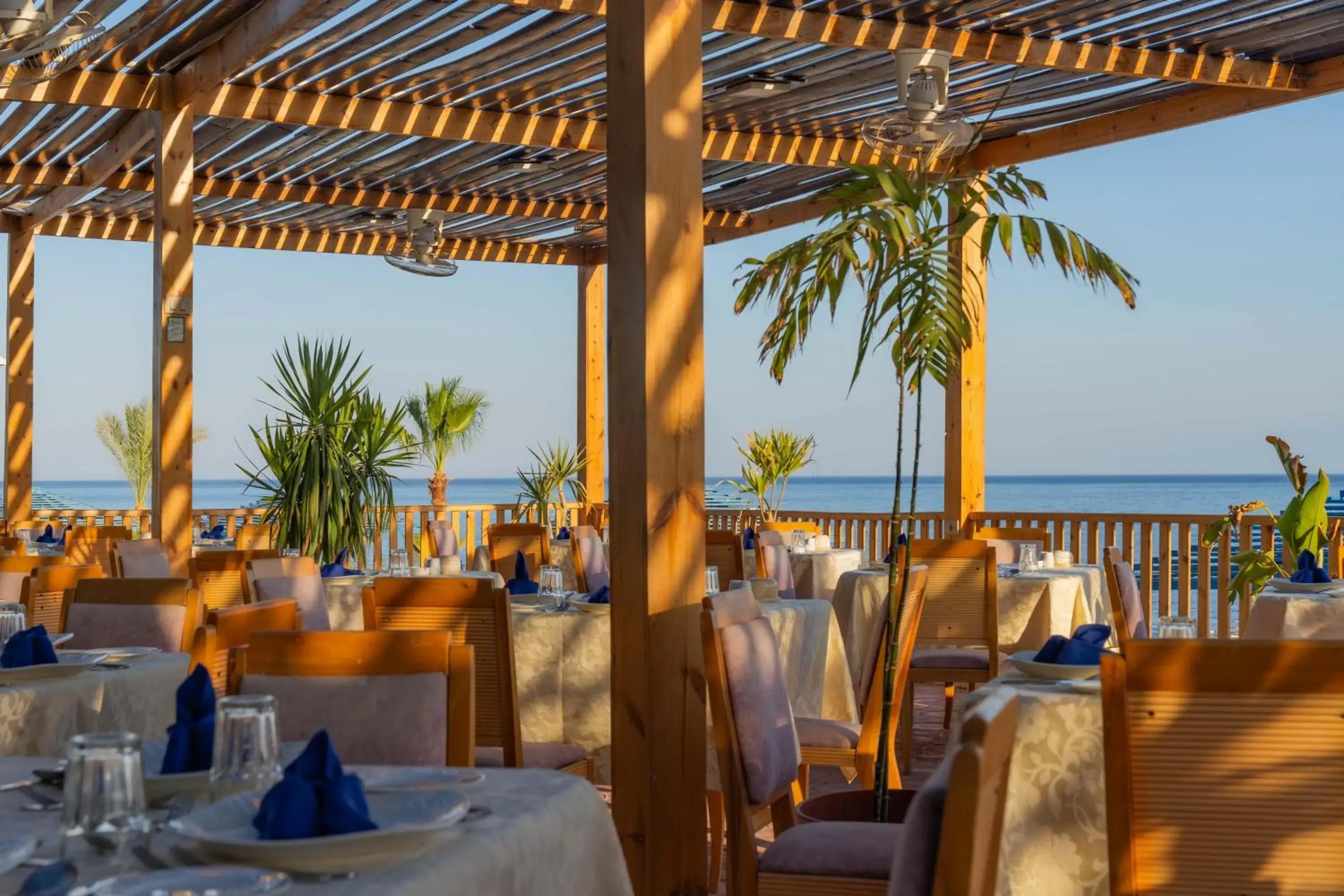 Restaurant/places to eat in Grand Oasis Resort Restaurant/places to eat in Grand Oasis Resort