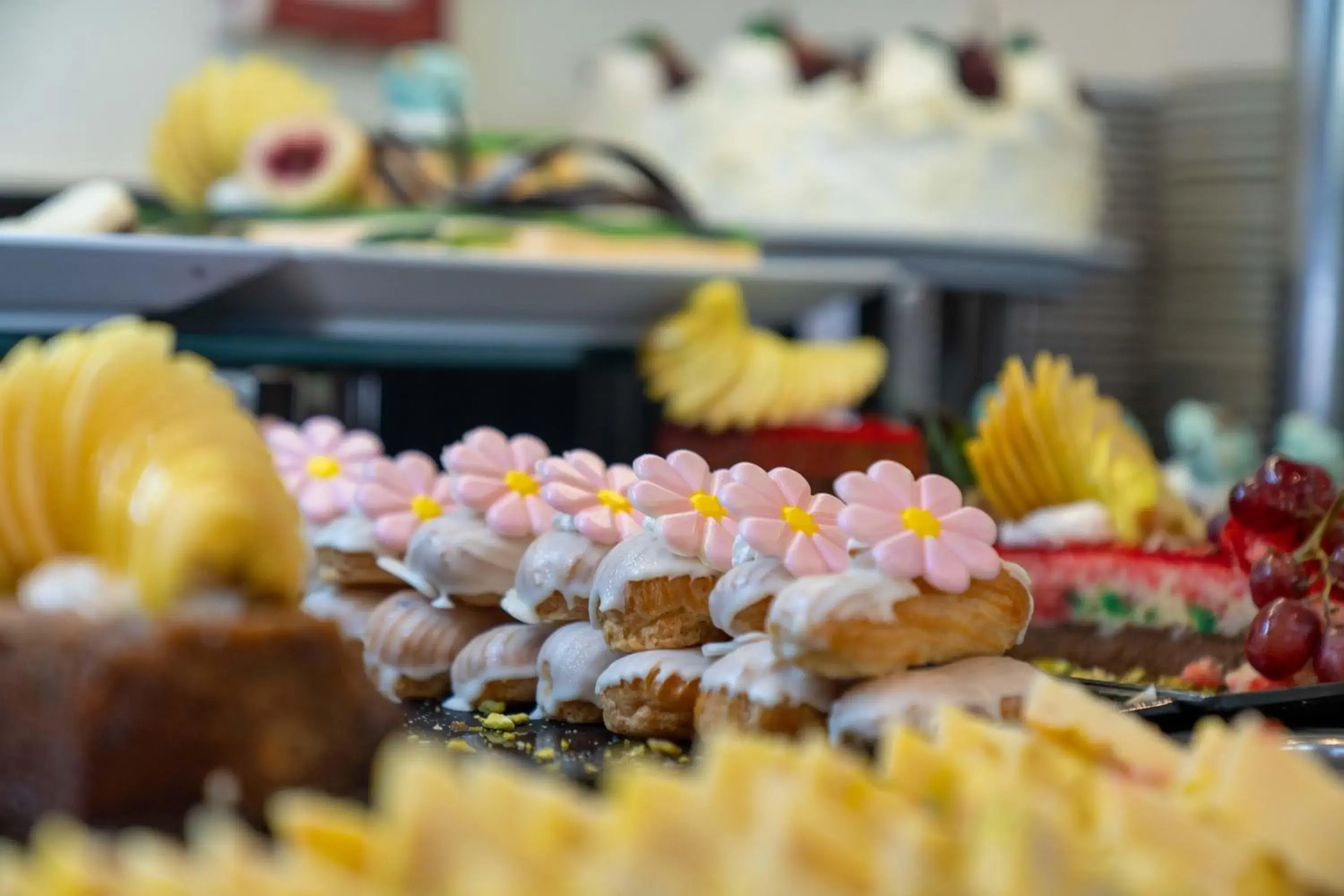 Restaurant/places to eat in Grand Oasis Resort Restaurant/places to eat in Grand Oasis Resort