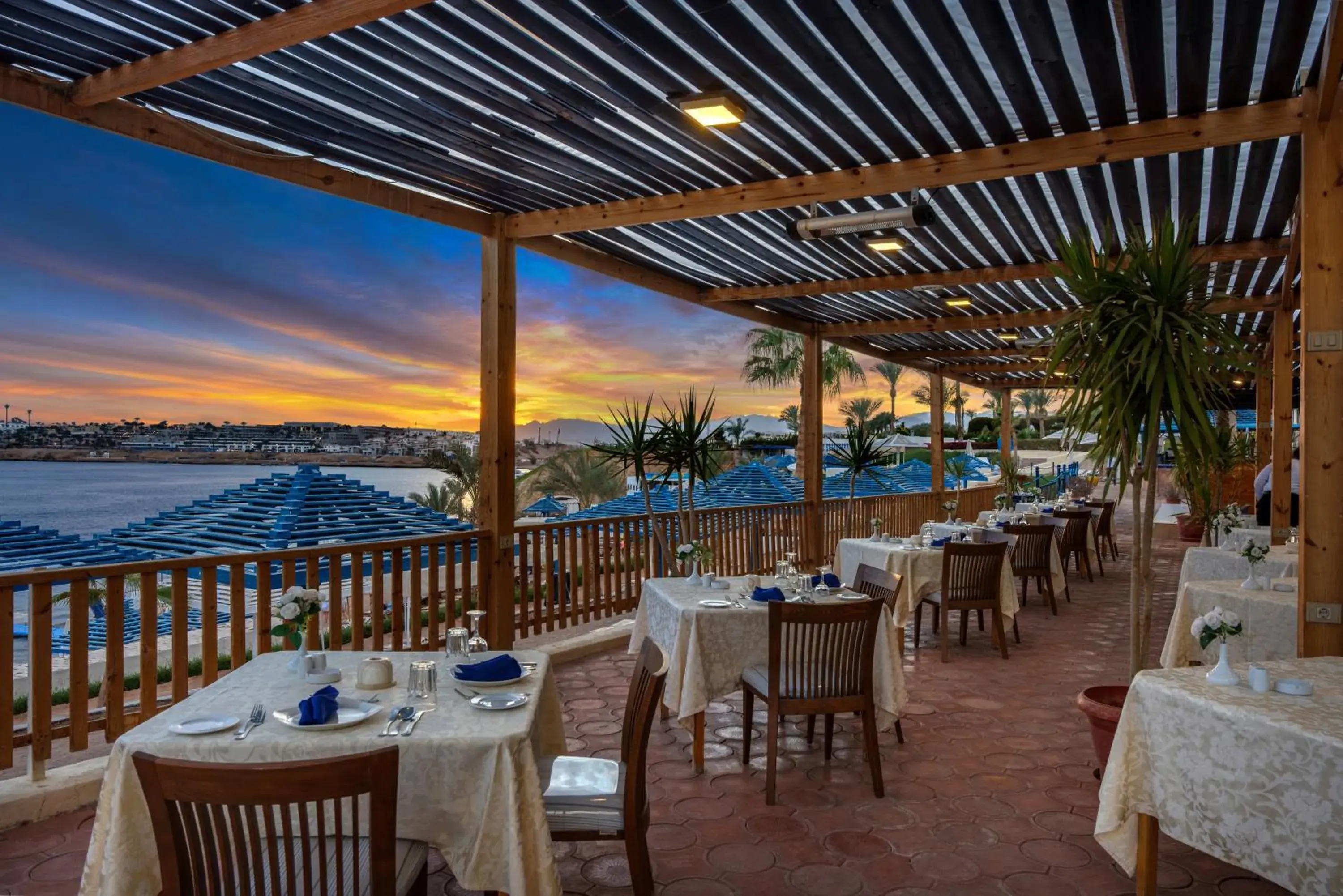 Restaurant/places to eat in Grand Oasis Resort Restaurant/places to eat in Grand Oasis Resort