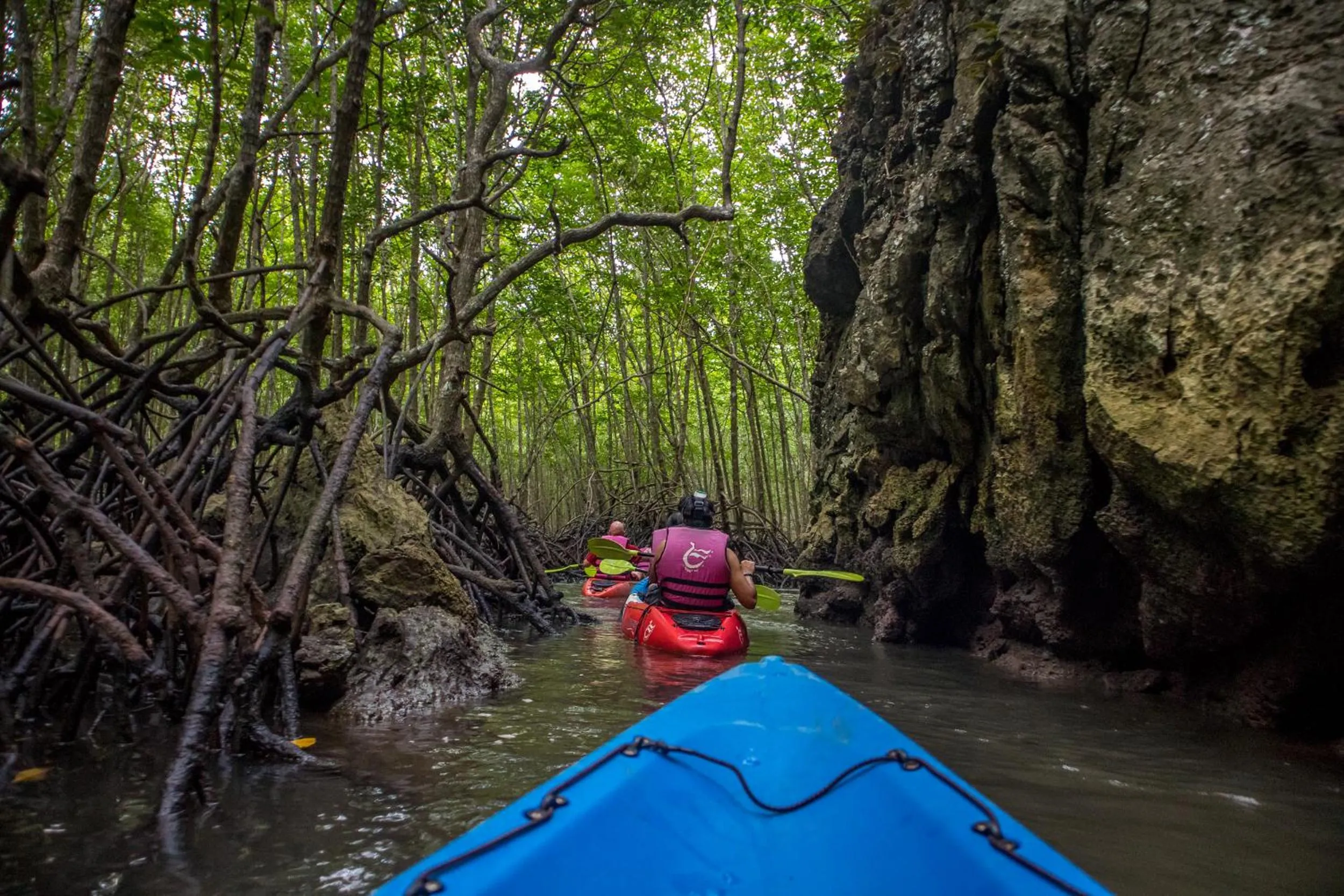 Snorkeling in Sleeper Hostel
