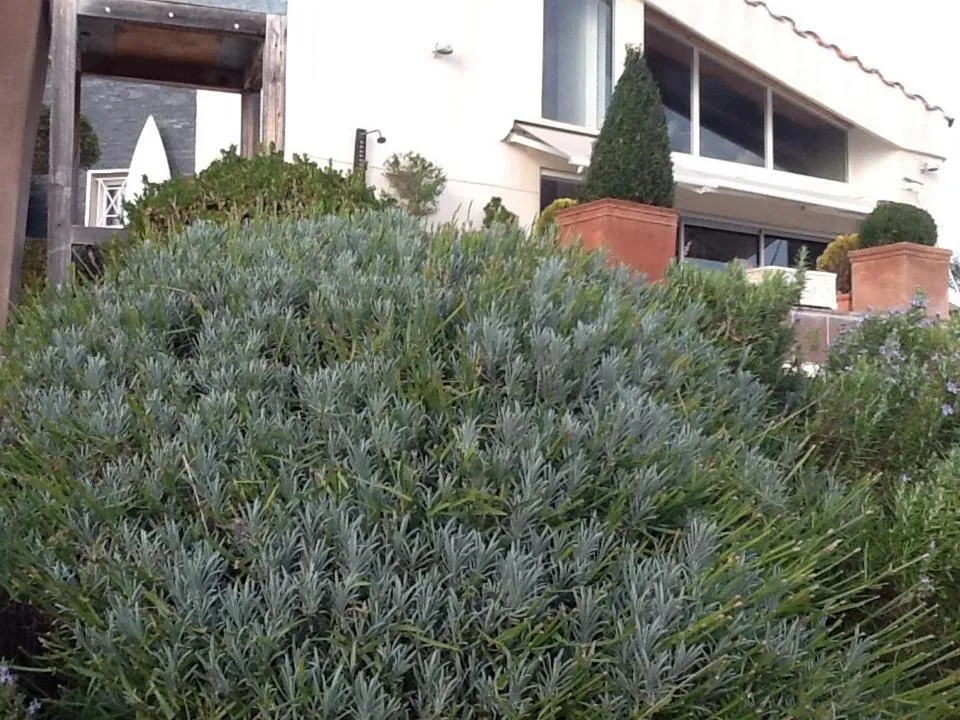 Property building in La Villa Blanche