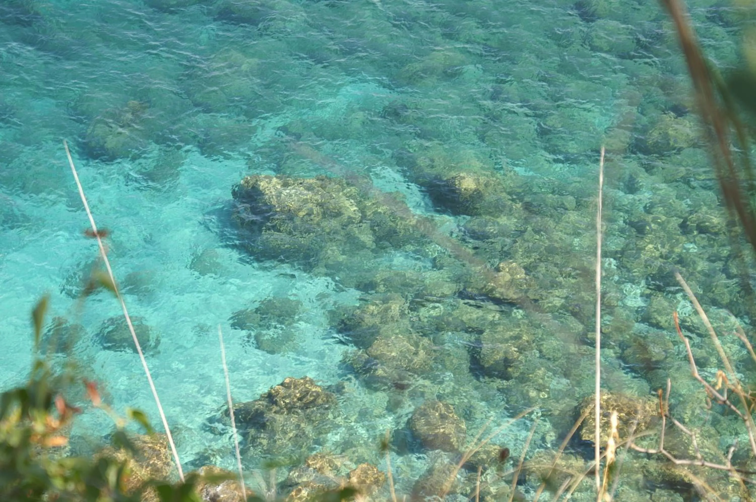 Natural landscape in Il Calabriano Residence