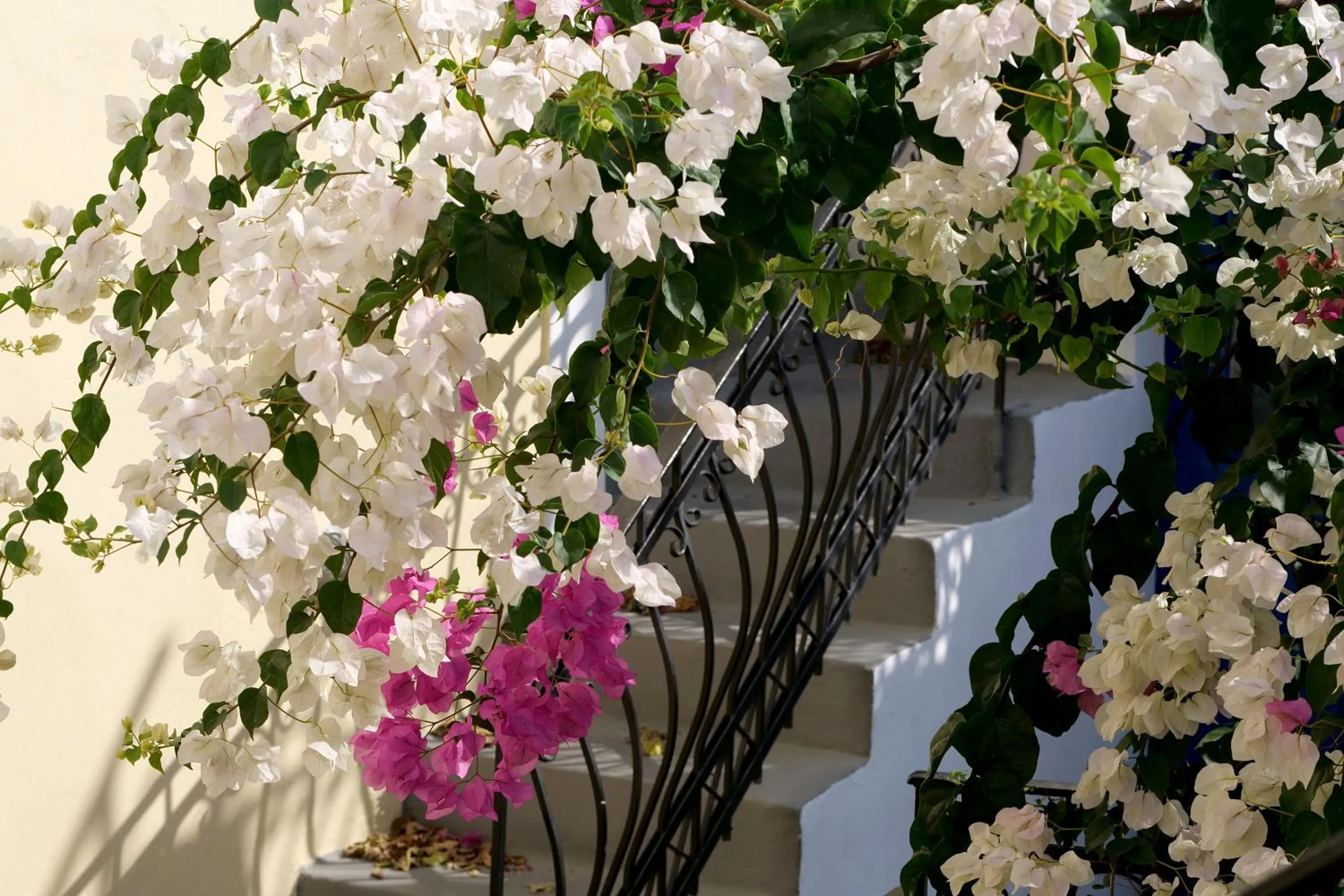 Property building in Kykladonisia Traditional Settlement