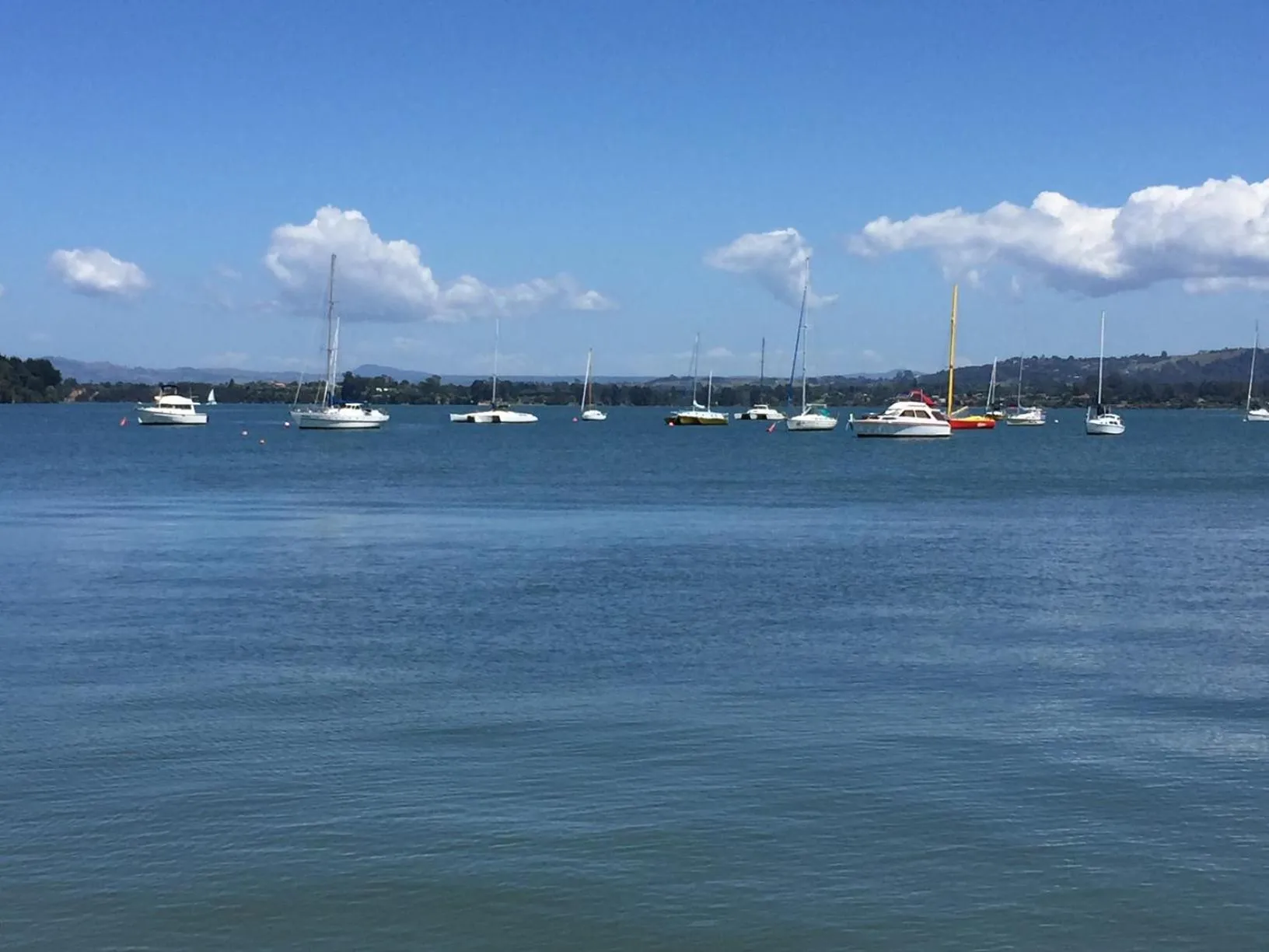 Omokoroa Sea View Apartment