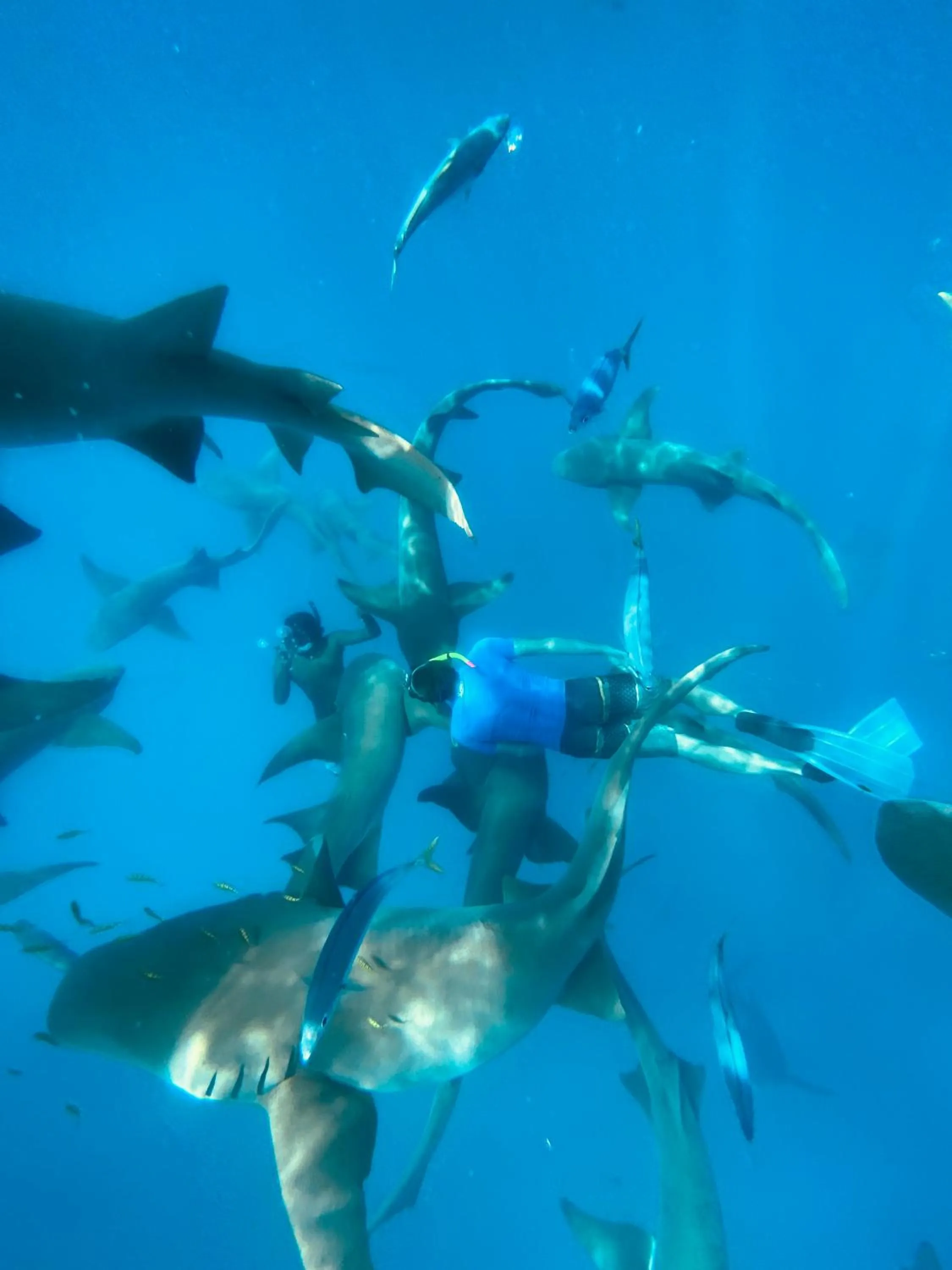 Snorkeling in Reef Edge Thulusdhoo, Maldives
