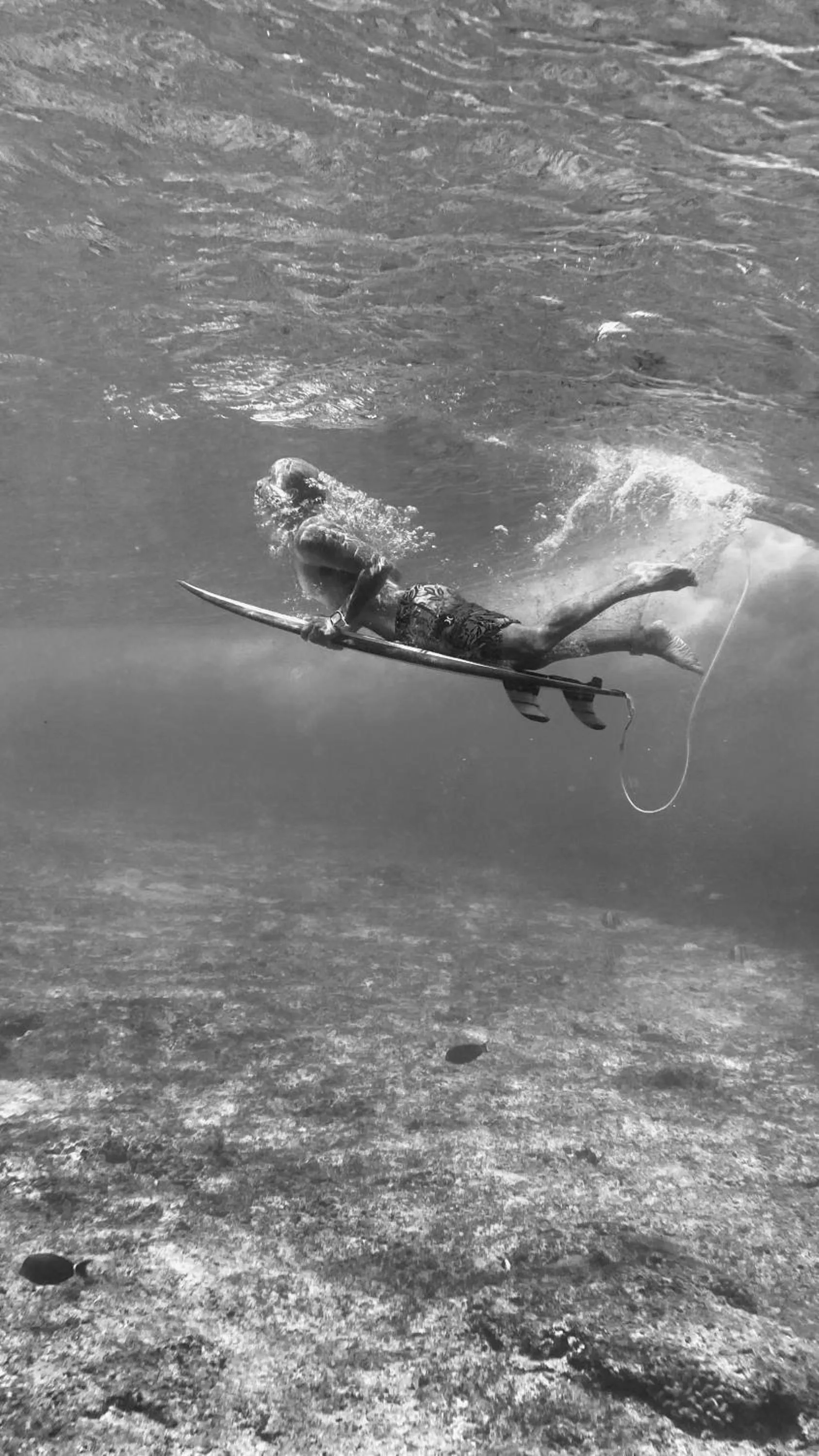 Snorkeling in Reef Edge Thulusdhoo, Maldives