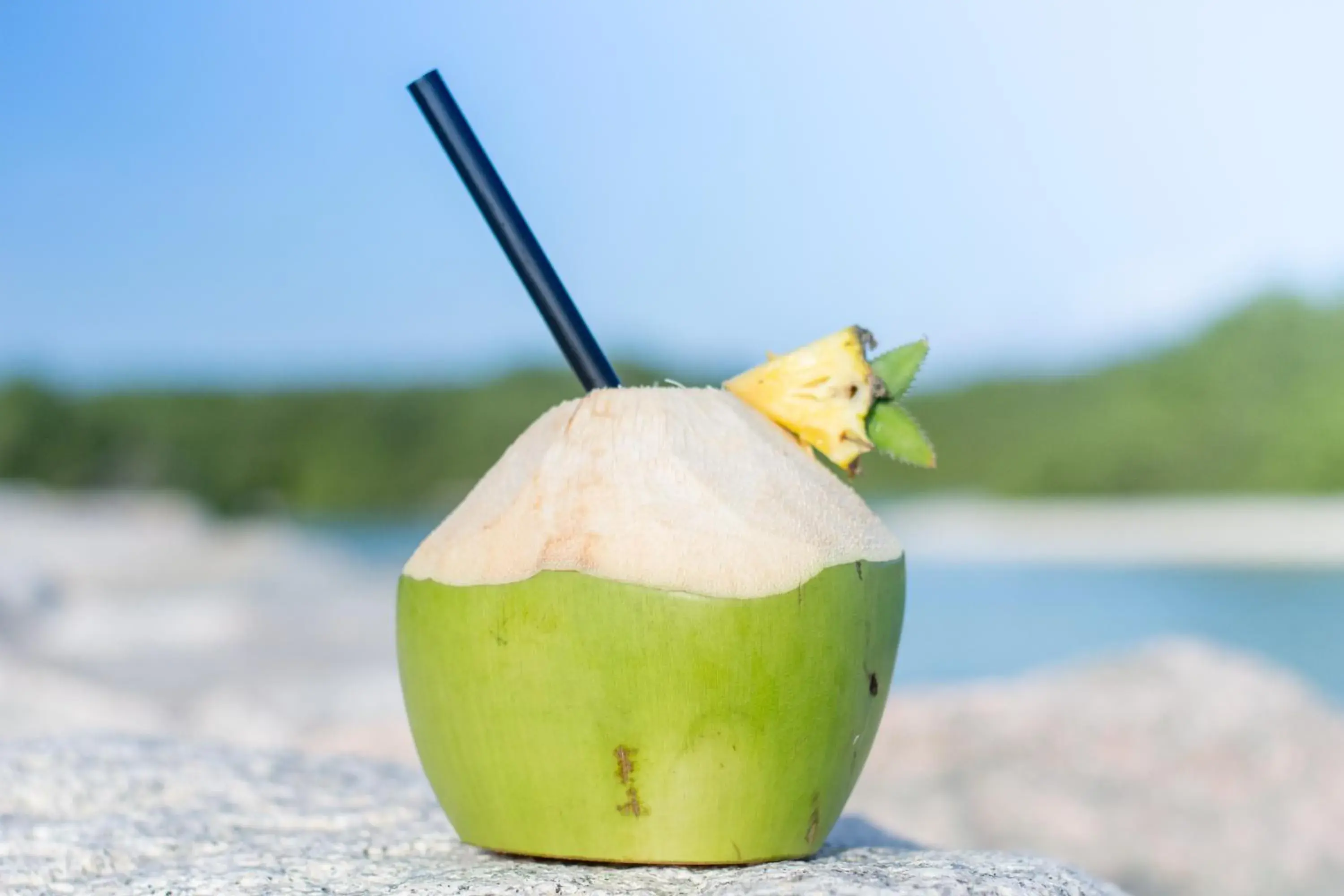 Food and drinks in Reef Edge Thulusdhoo, Maldives Food and drinks in Reef Edge Thulusdhoo, Maldives