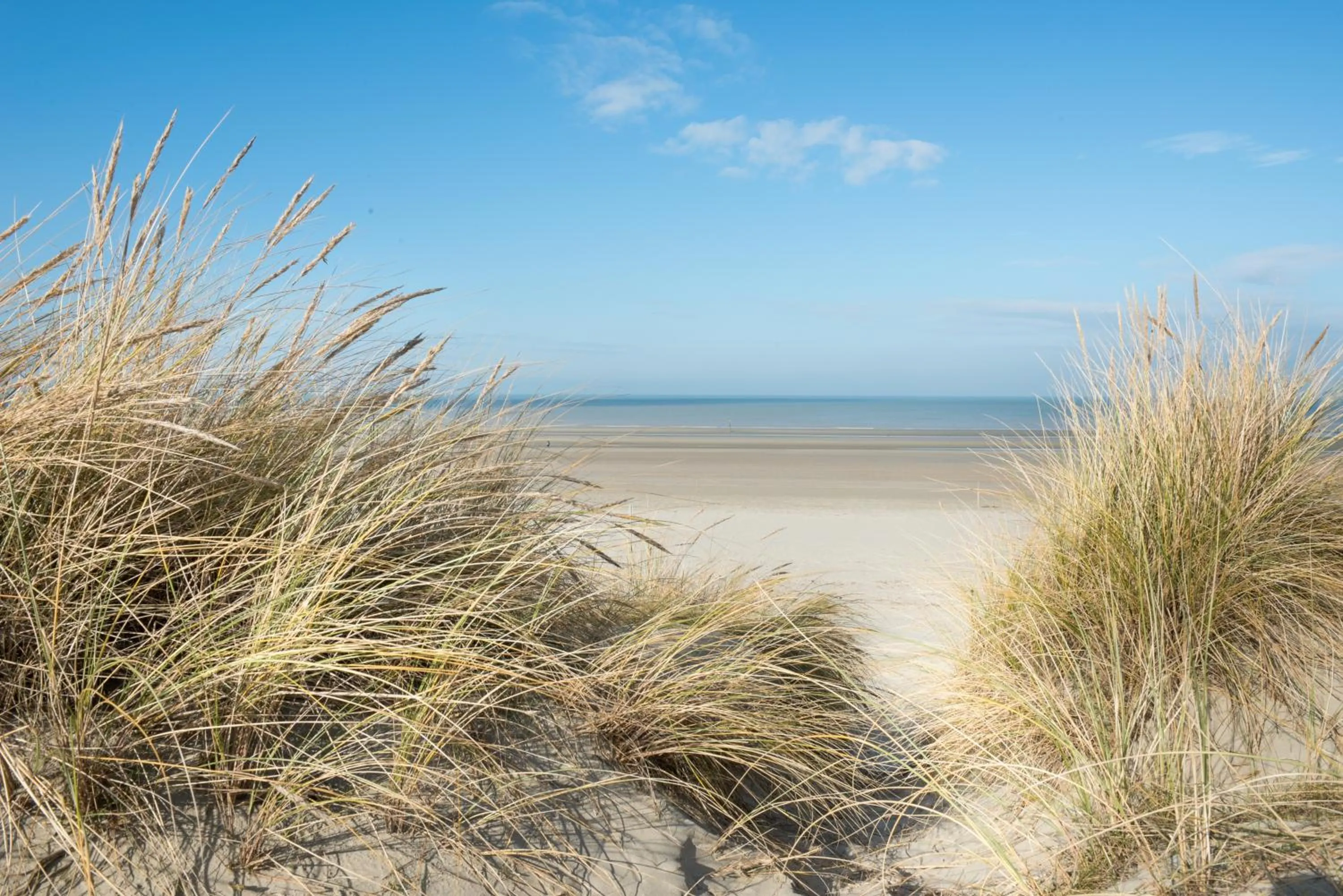 Beach in Hotel Carnac