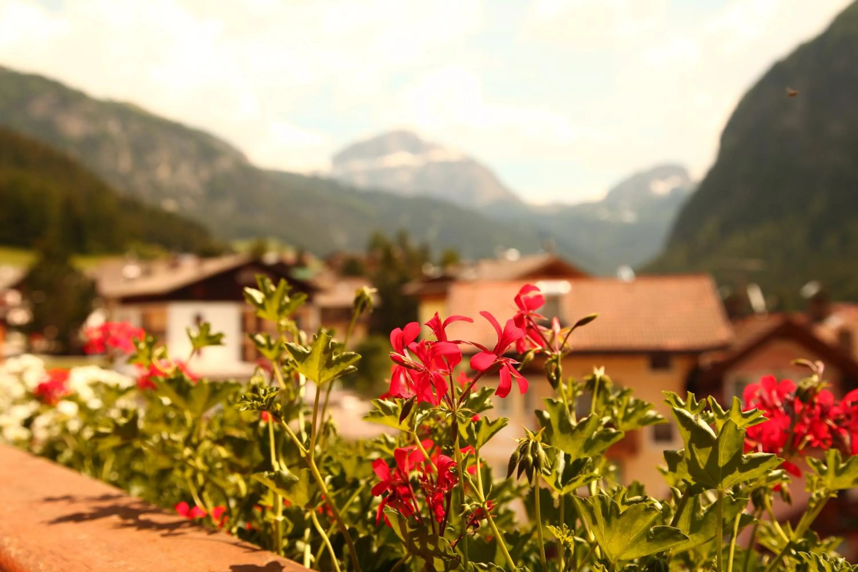 View (from property/room) in Garnì Prà Fiorì