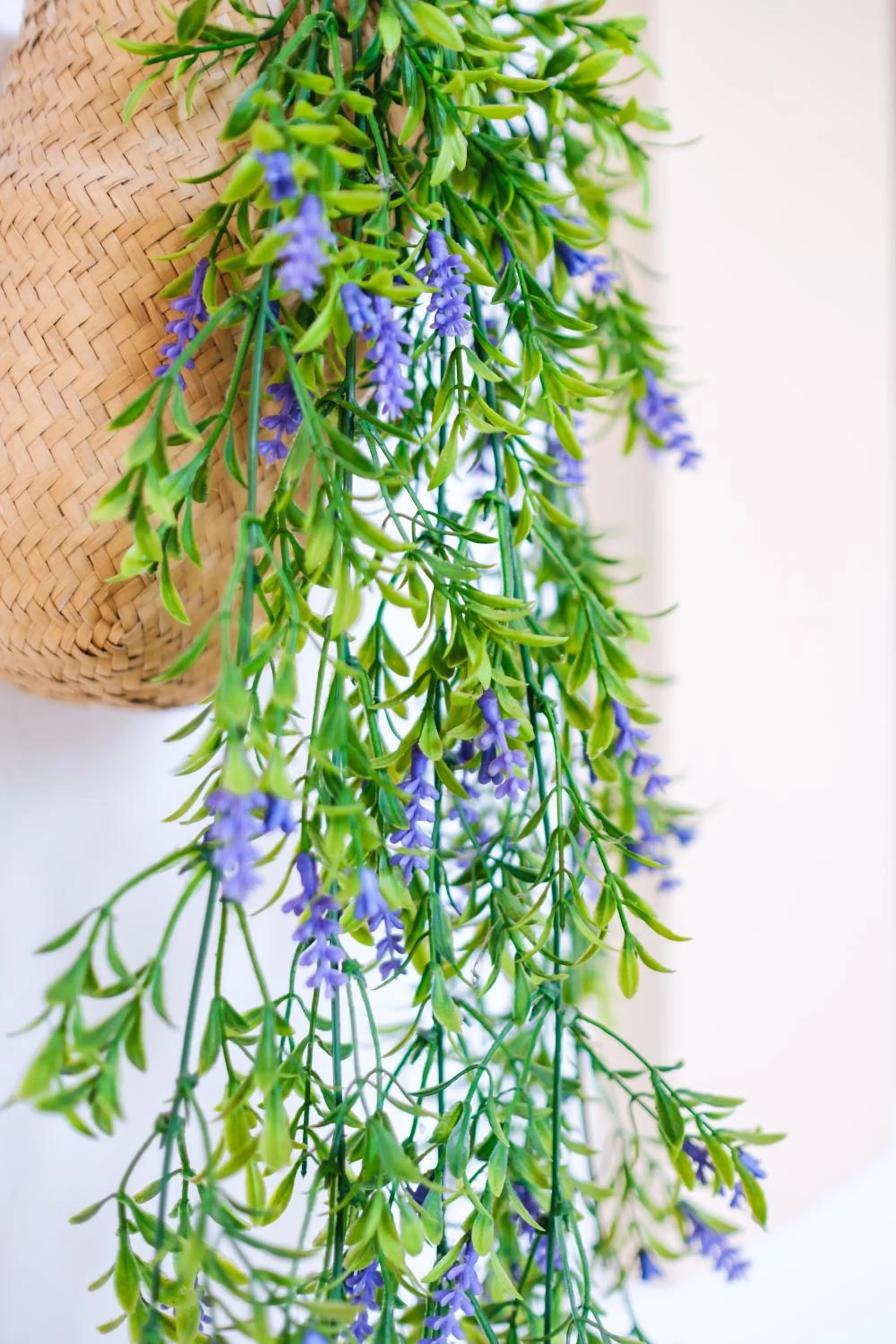 Decorative detail in Hotel Ciutat Jardi