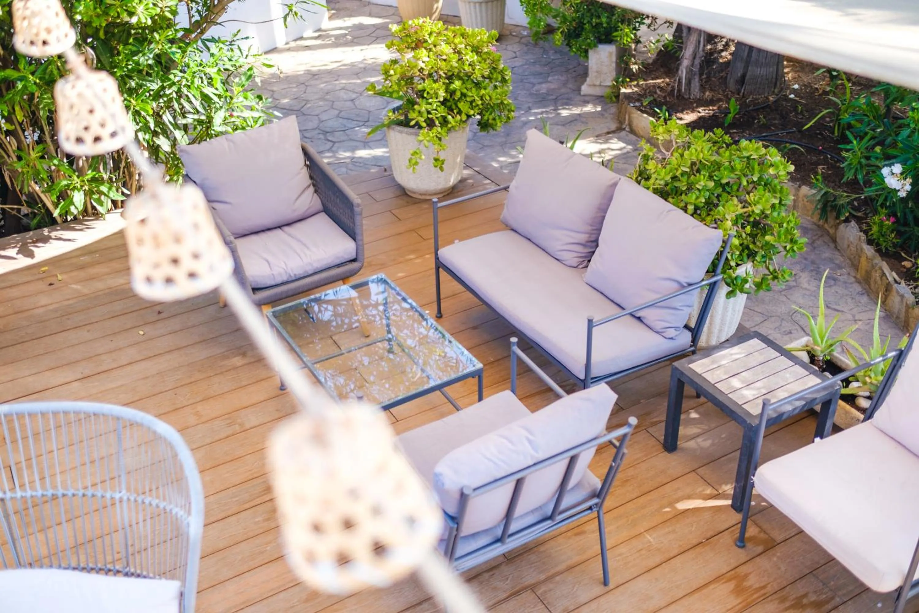 Garden in Hotel Ciutat Jardi