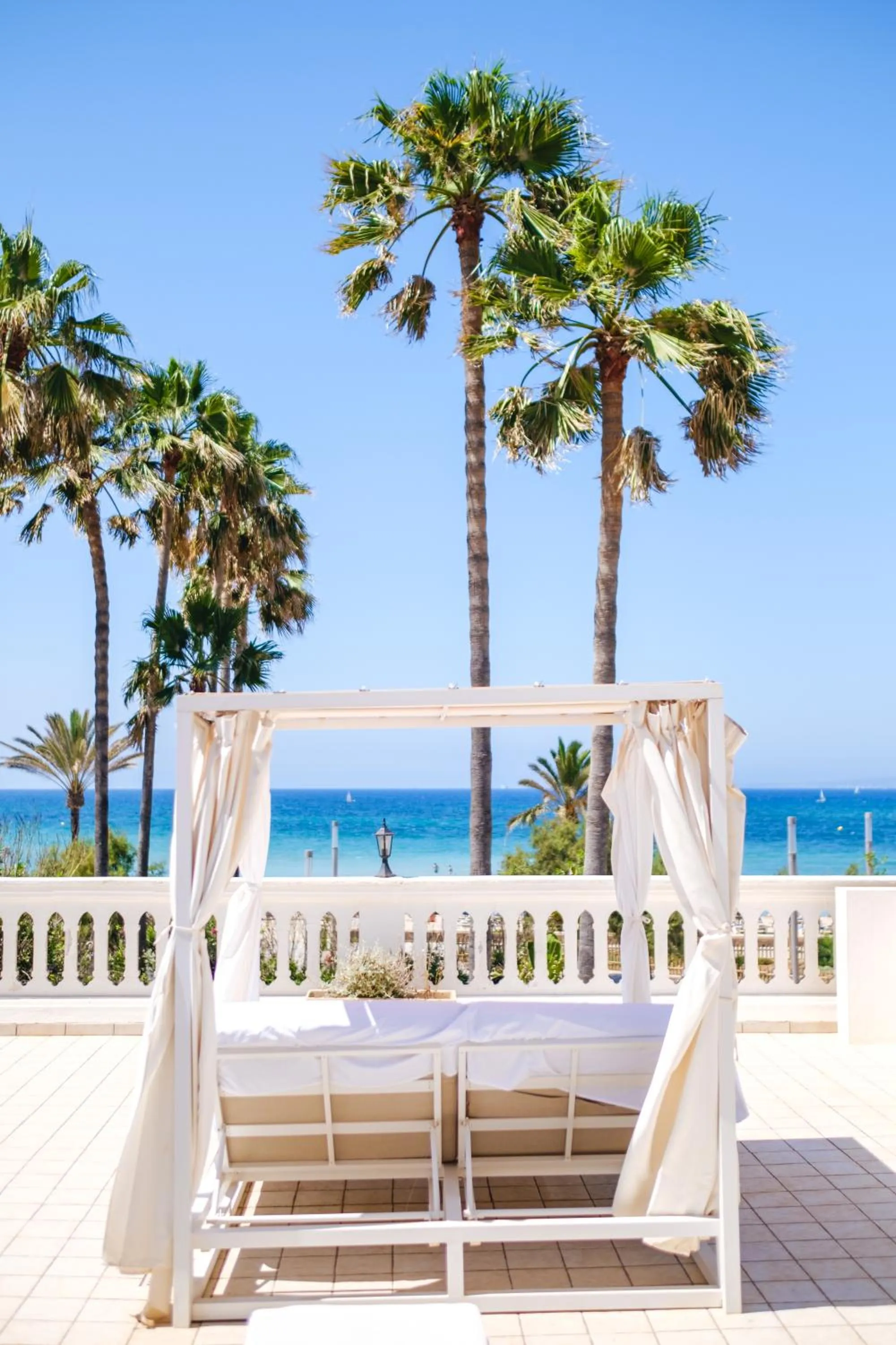 Balcony/Terrace in Hotel Ciutat Jardi