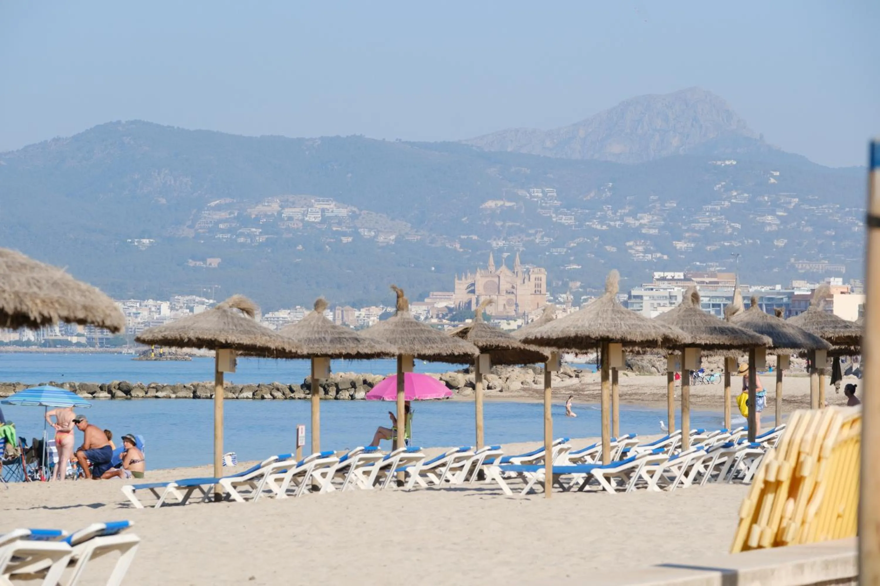 Entertainment in Hotel Ciutat Jardi