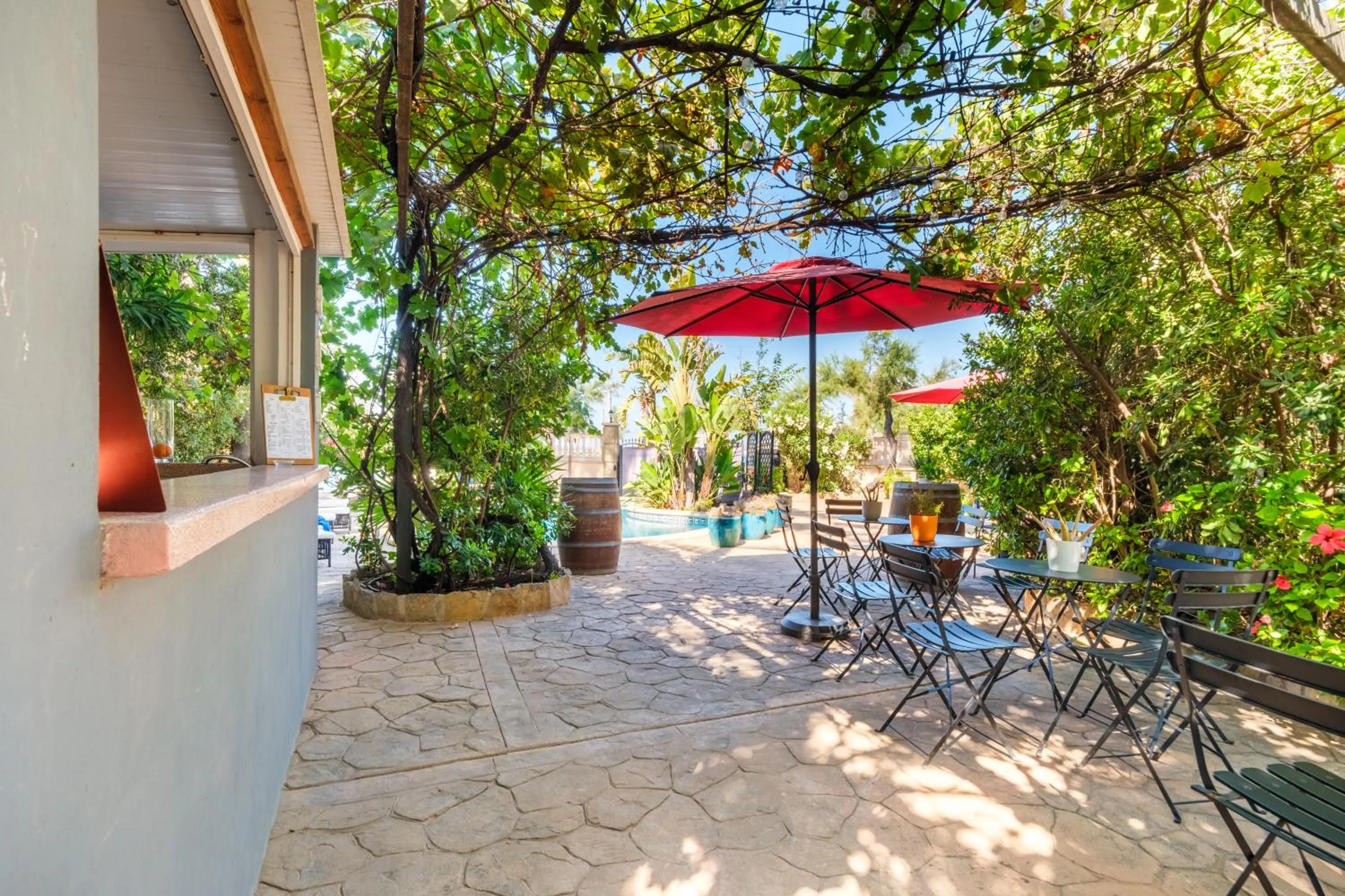 Garden in Hotel Ciutat Jardi