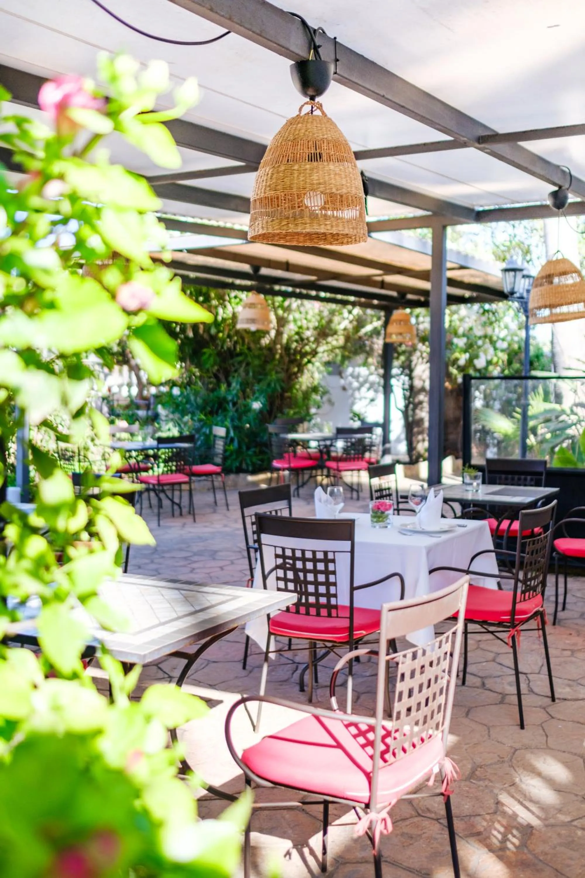 Restaurant/places to eat in Hotel Ciutat Jardi