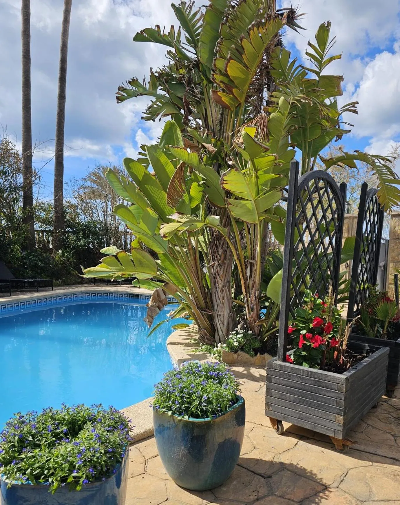 Garden in Hotel Ciutat Jardi