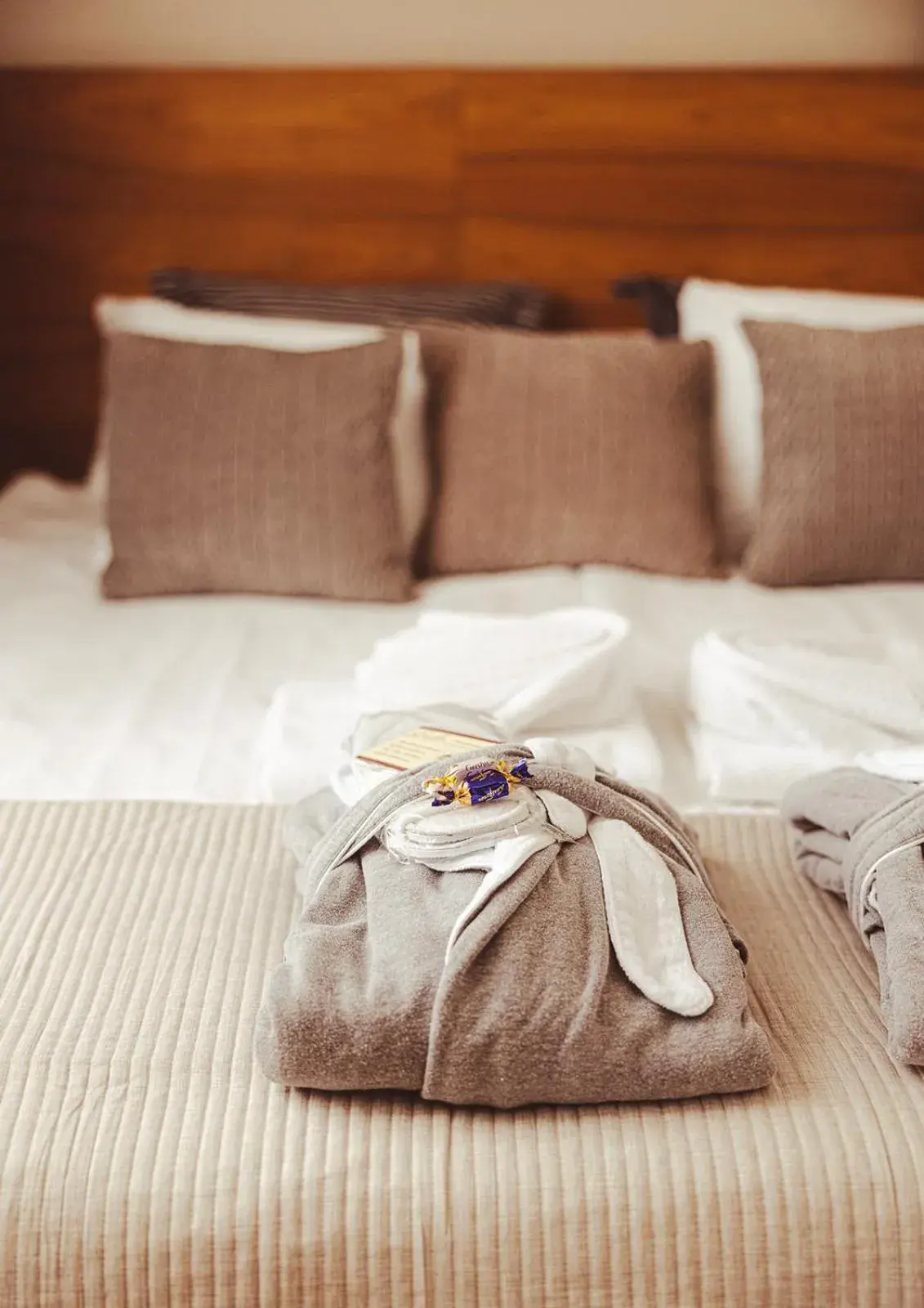 Superior Twin Room - single occupancy in Hotel Emilia Superior Twin Room - single occupancy in Hotel Emilia