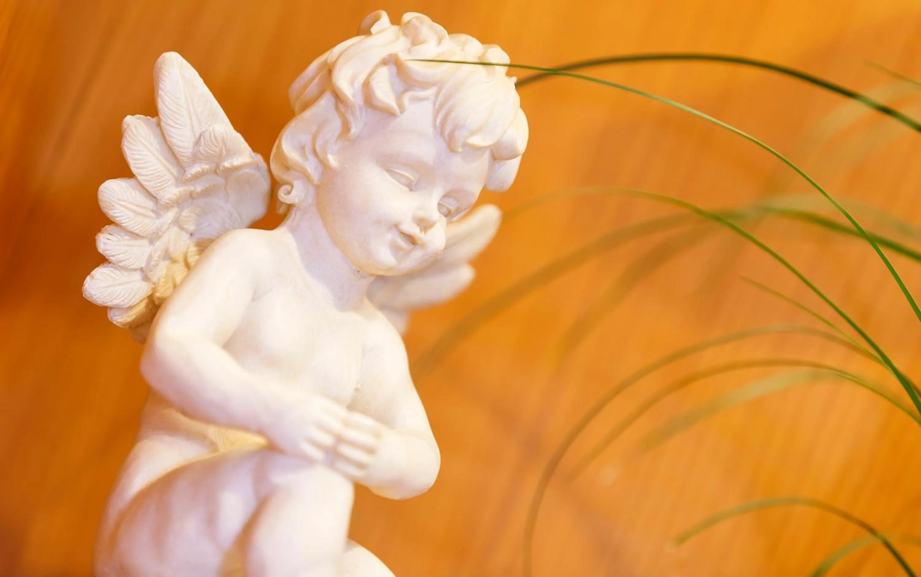 Other in Hotel Landgasthof Schönbühl