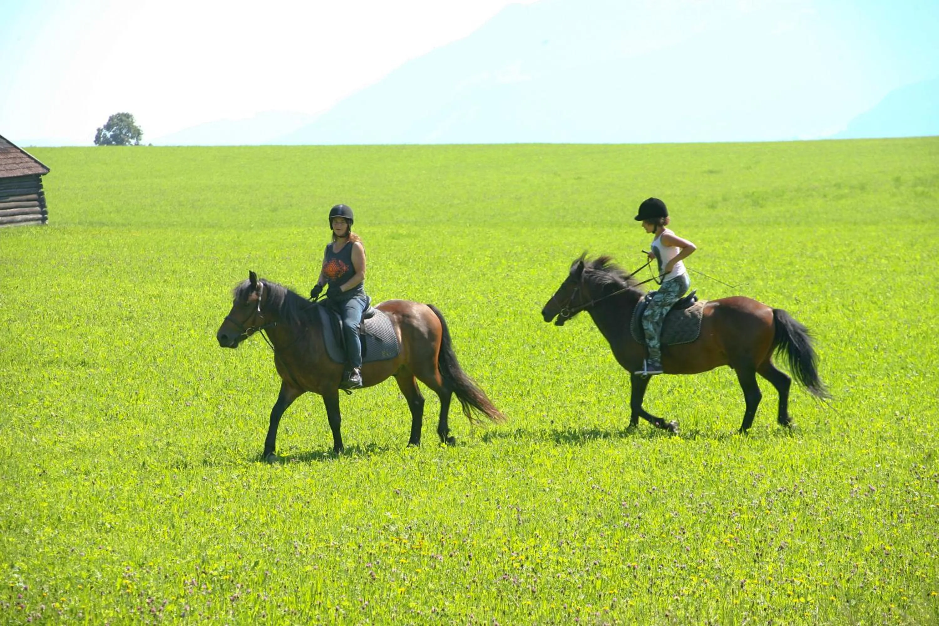 Horse-riding in Sport & Familienhotel Bärenwirt