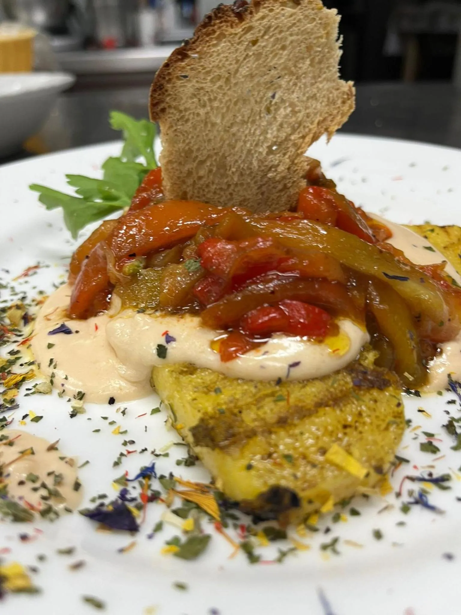 Casa Oliva borgo del Benessere delle Marche