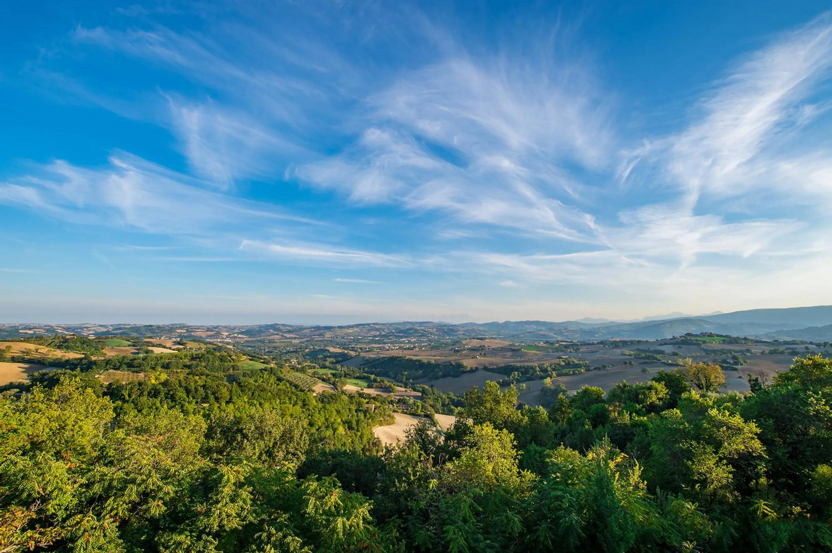Restaurant/places to eat in Casa Oliva borgo del Benessere delle Marche
