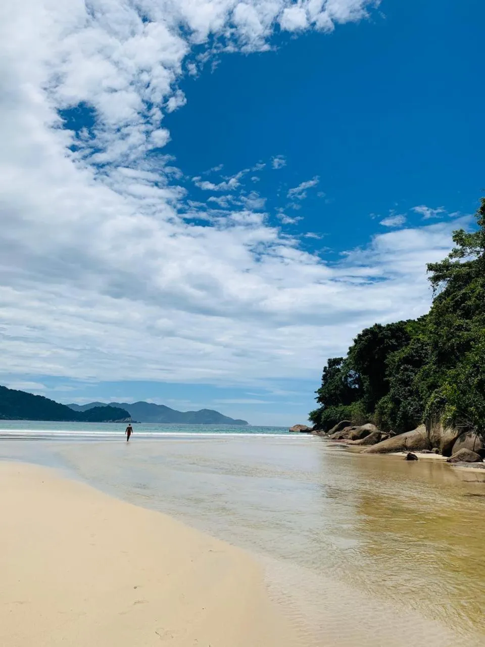 Natural landscape in Fauna