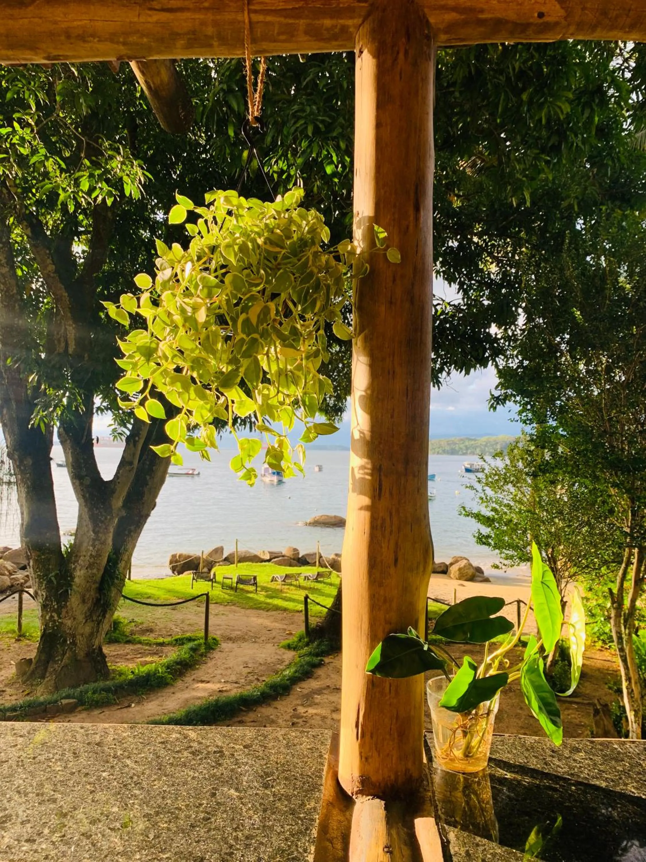 Natural landscape in Fauna