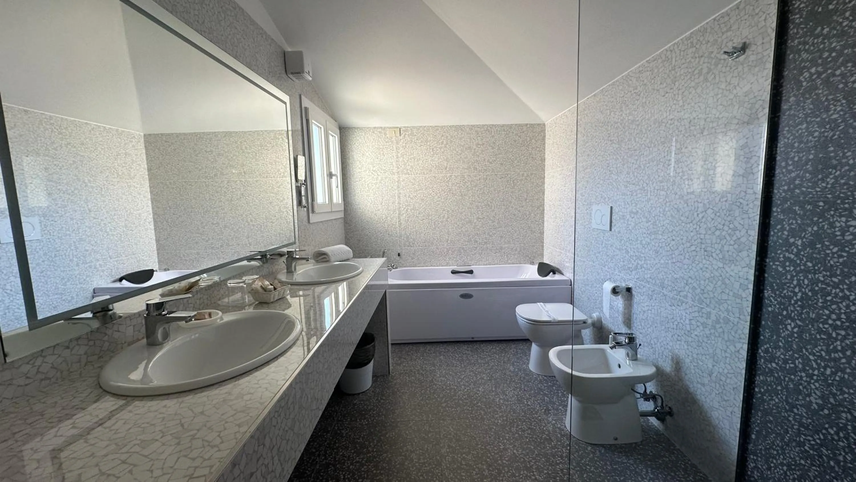 Shower in Hotel Roma