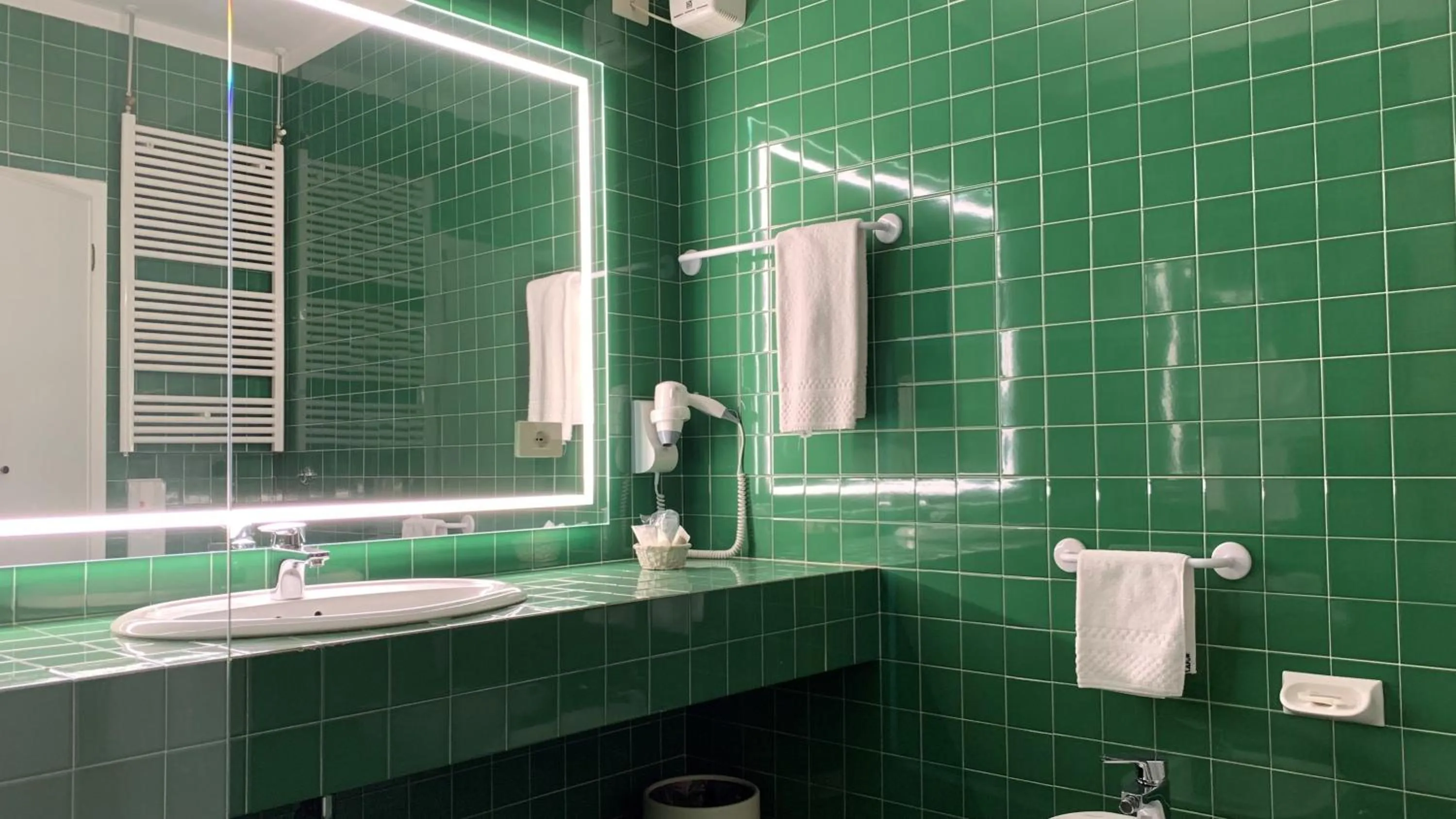 Shower in Hotel Roma