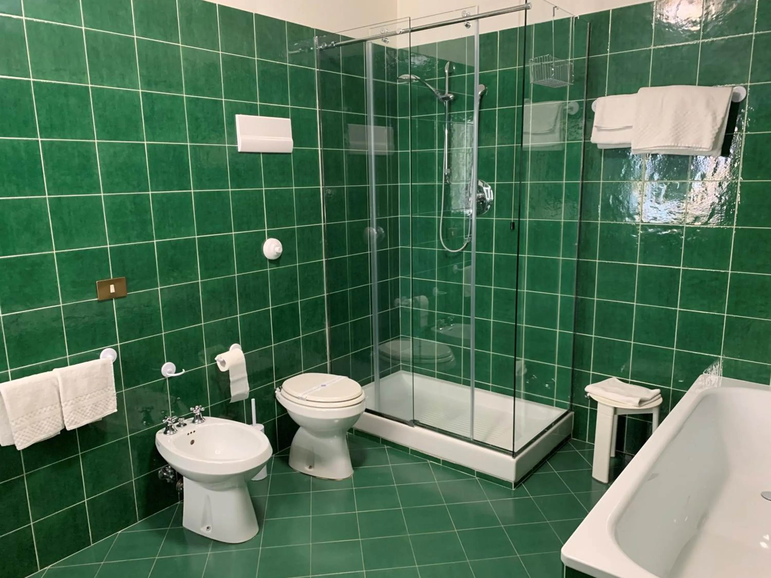 Shower in Hotel Roma