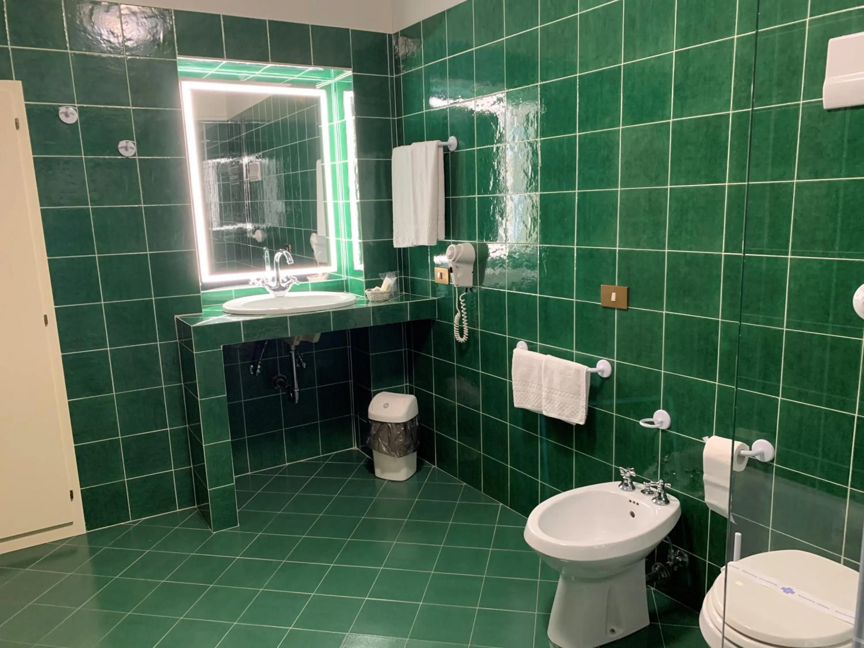 Shower in Hotel Roma