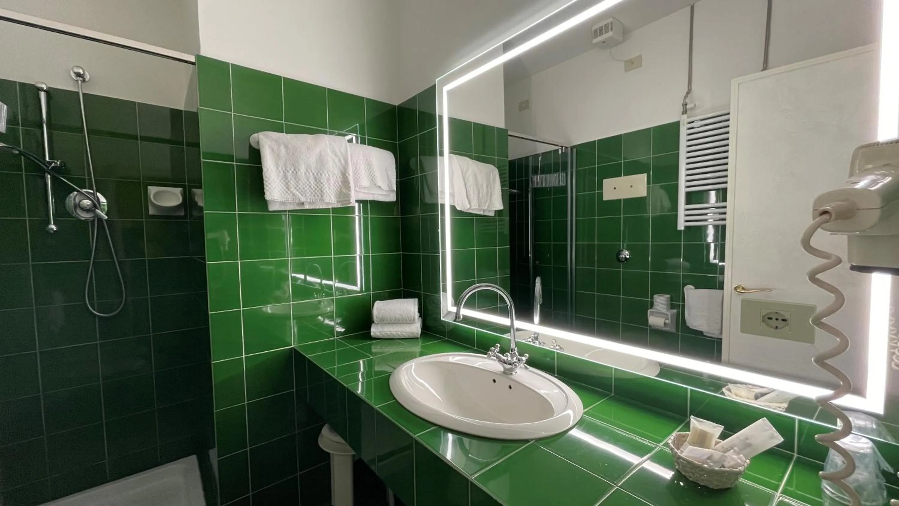 Shower in Hotel Roma