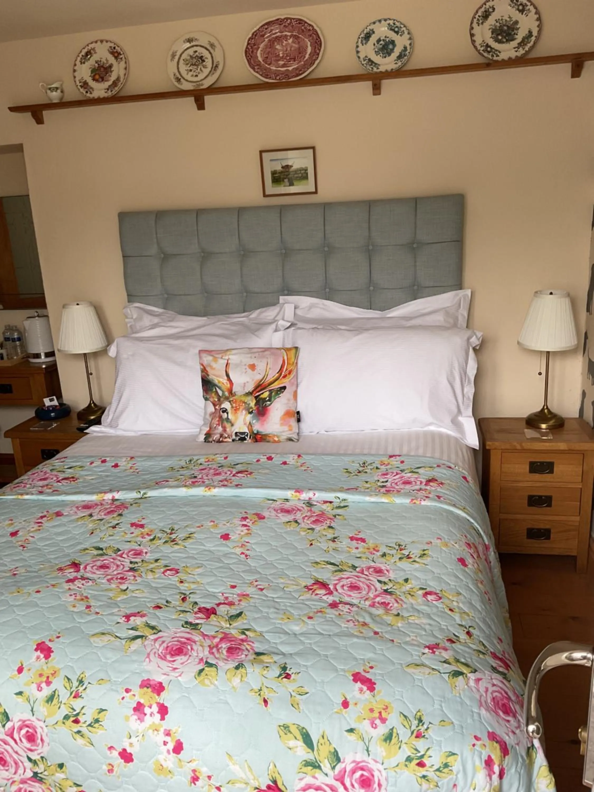 The Snug @ Corry Cottage
