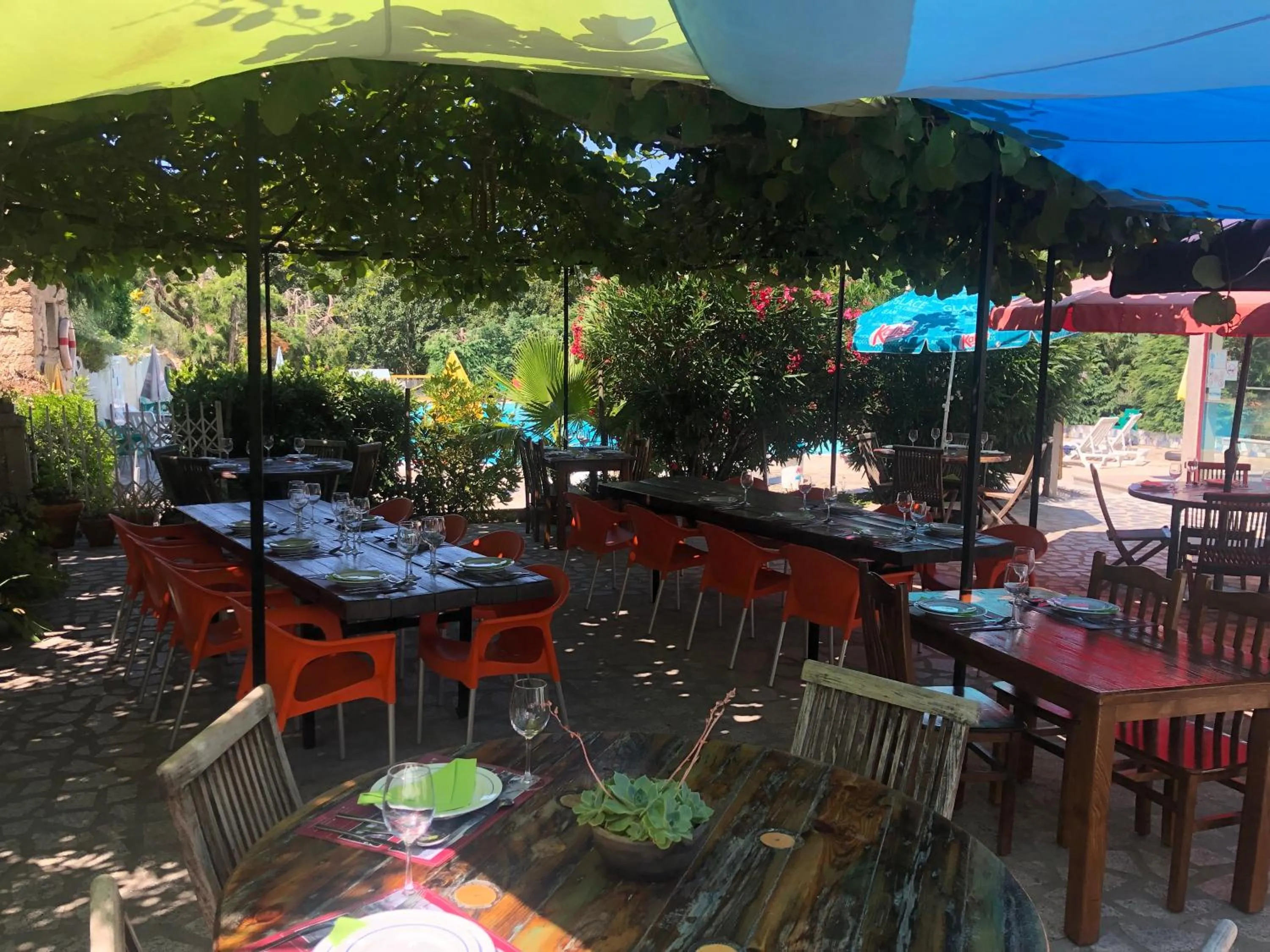 Restaurant/places to eat in Quinta das Cegonhas