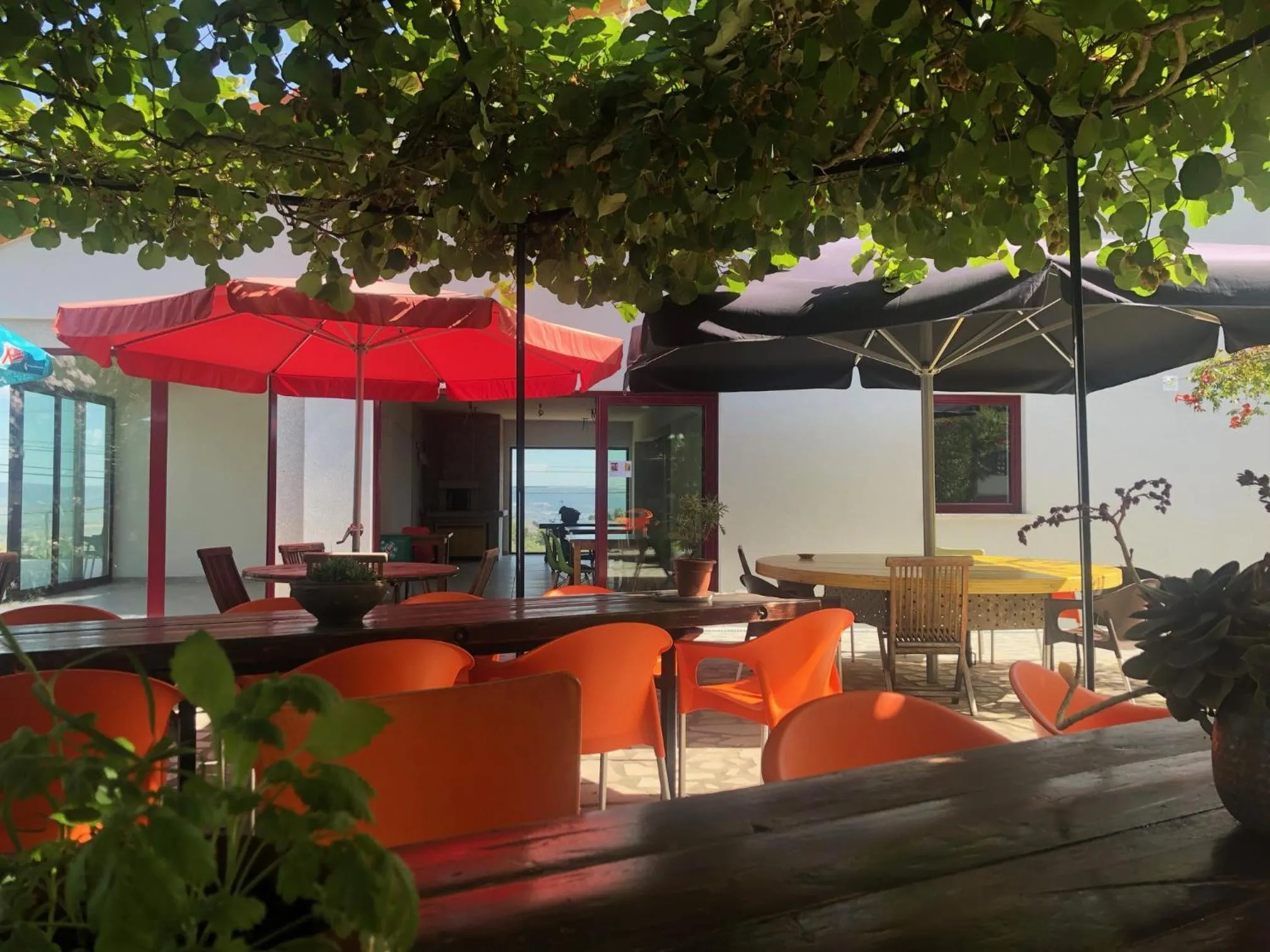 Patio in Quinta das Cegonhas