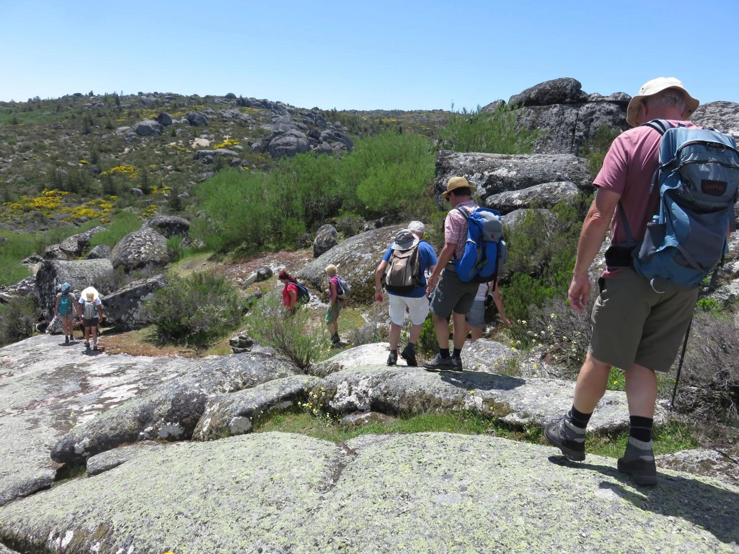 Hiking in Quinta das Cegonhas