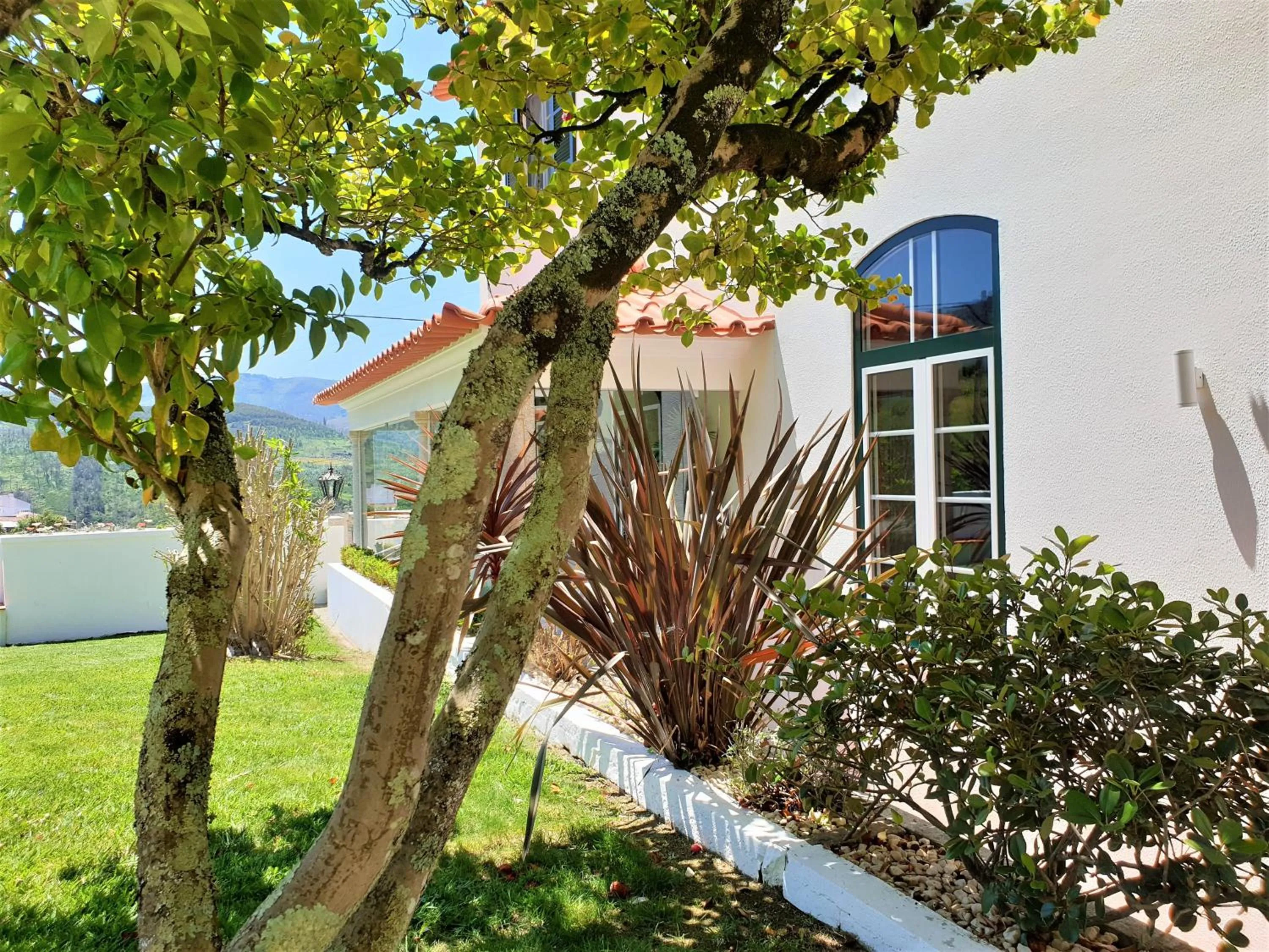 View (from property/room) in Quinta da Palmeira - Country House Retreat & Spa