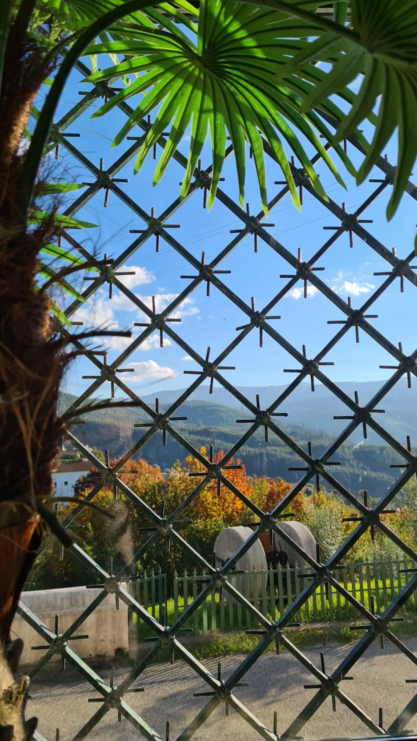 Property building in Quinta da Palmeira - Country House Retreat & Spa