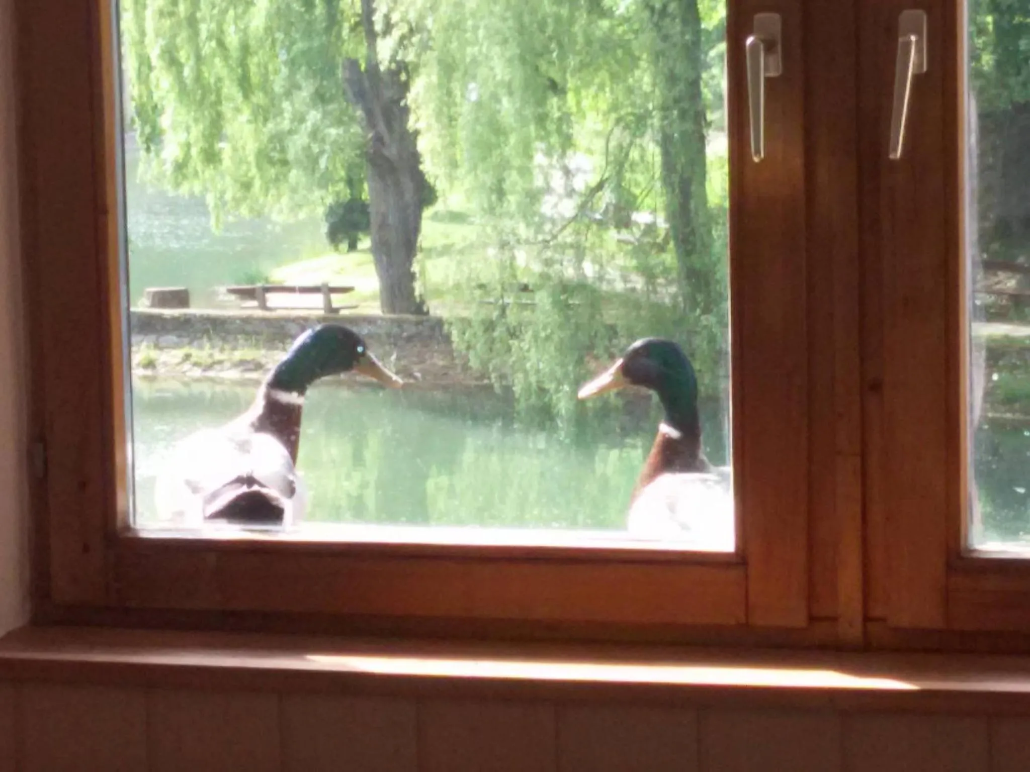 View (from property/room) in Hotel Síkfőkút