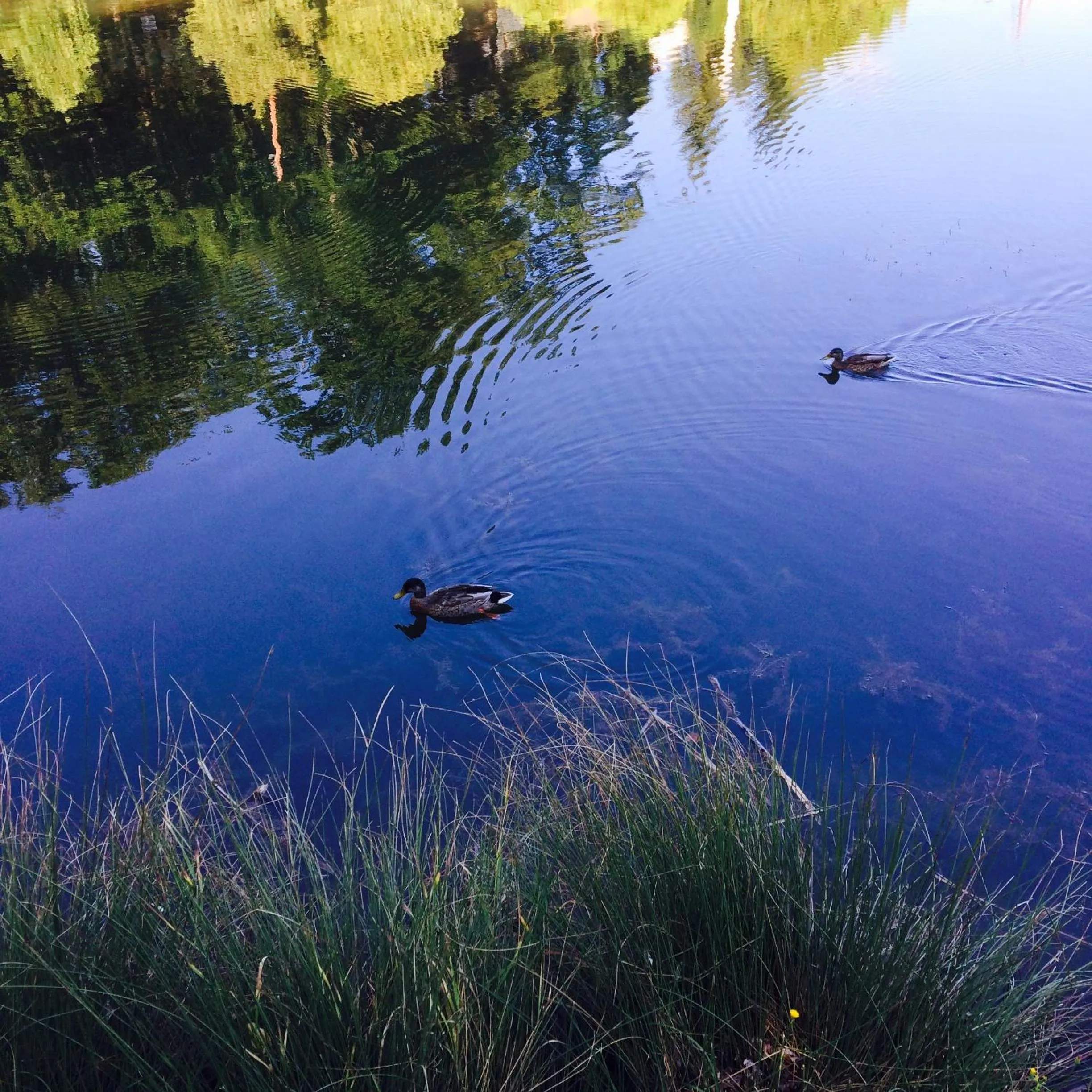 Day in Hotel Síkfőkút