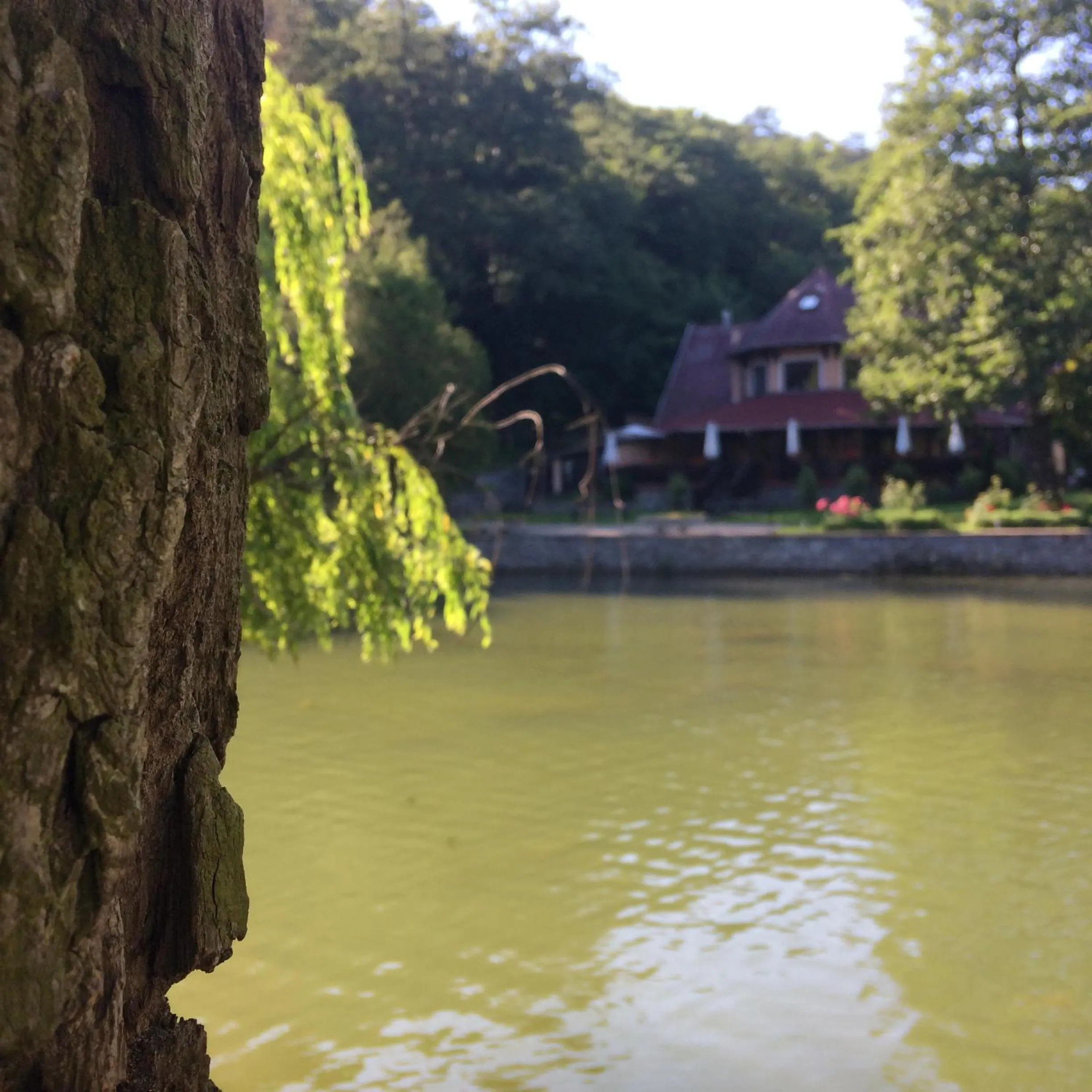 Property building in Hotel Síkfőkút