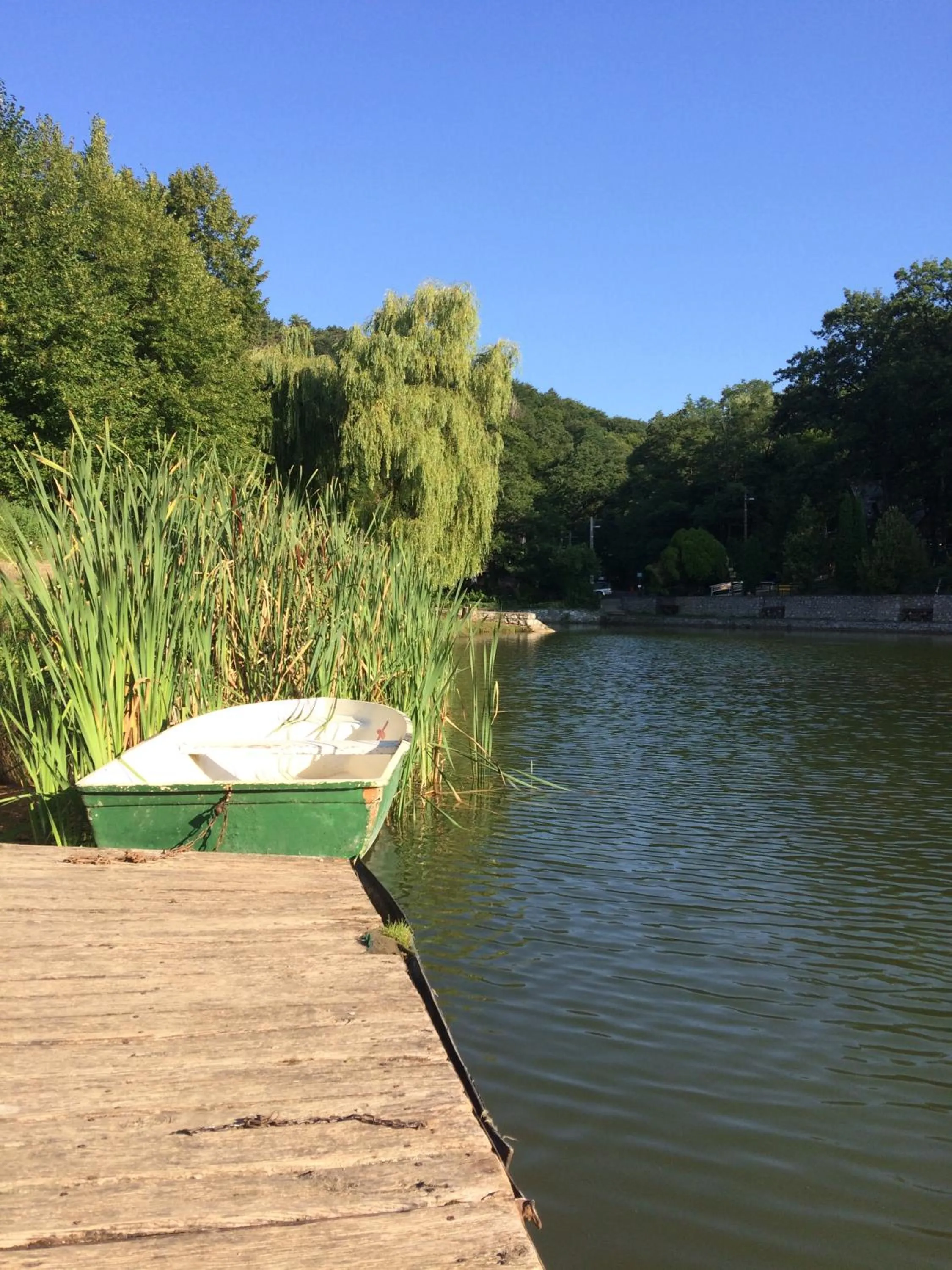 Fishing in Hotel Síkfőkút