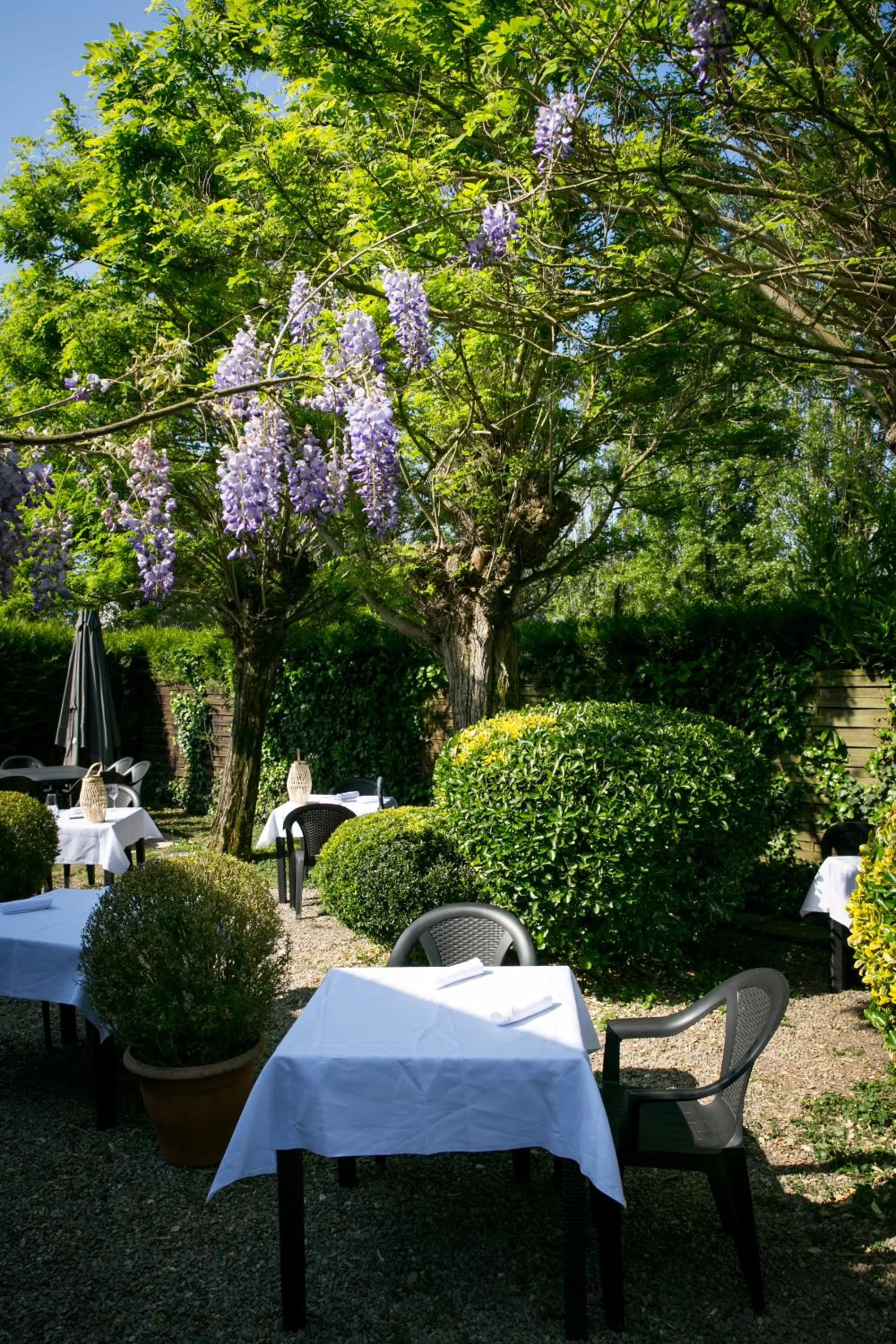 Logis Auberge De L'ombrée