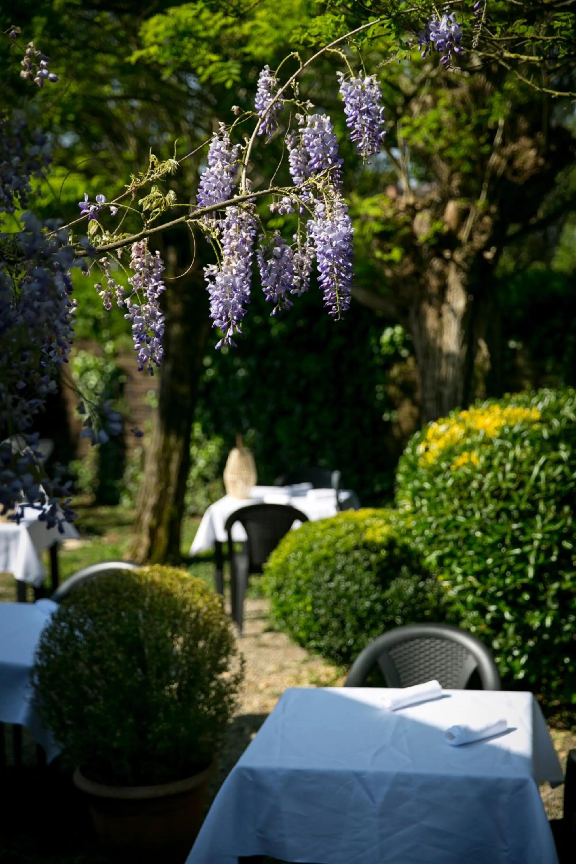 Logis Auberge De L'ombrée