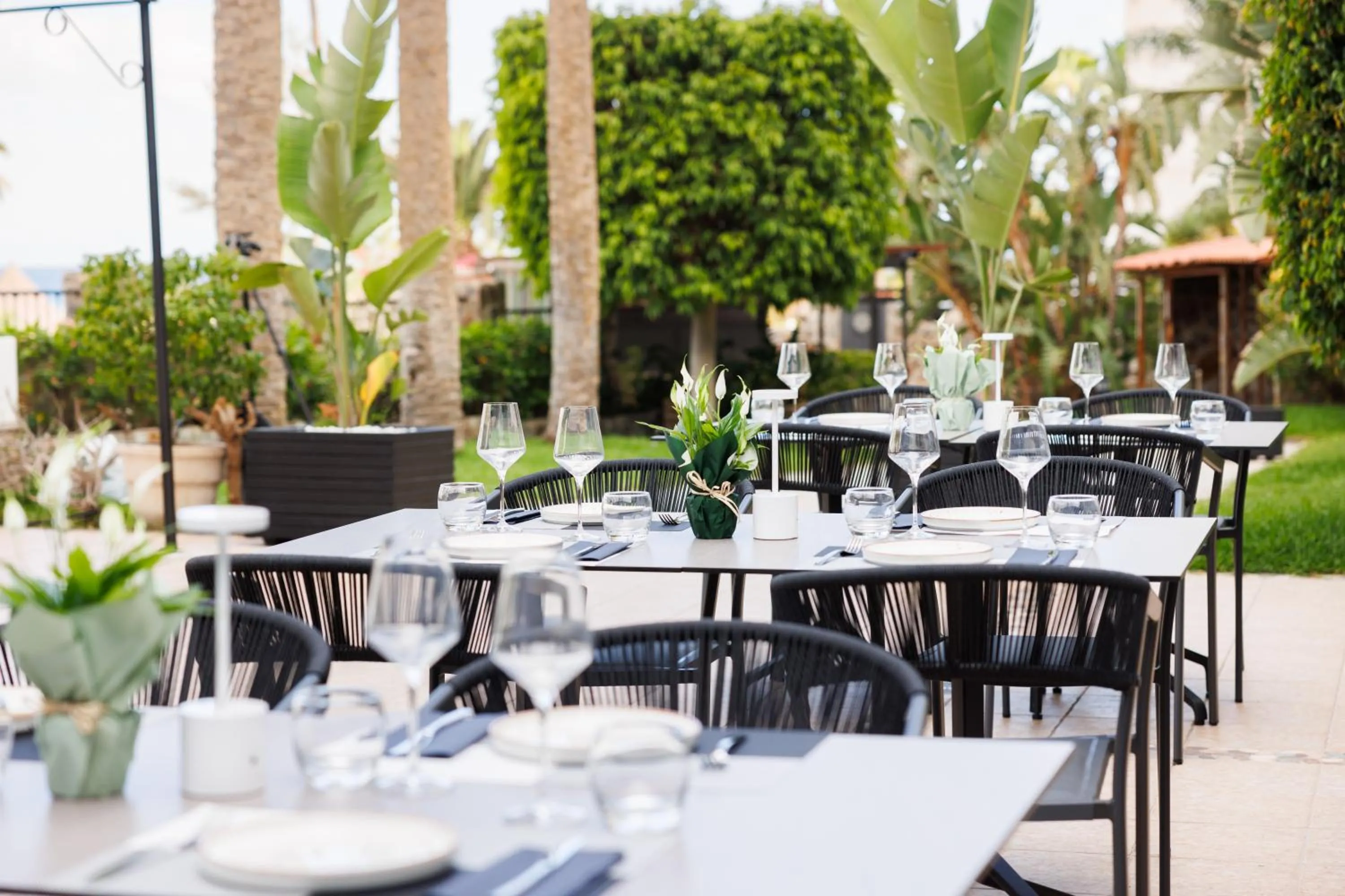 Garden in Hapimag San Agustín