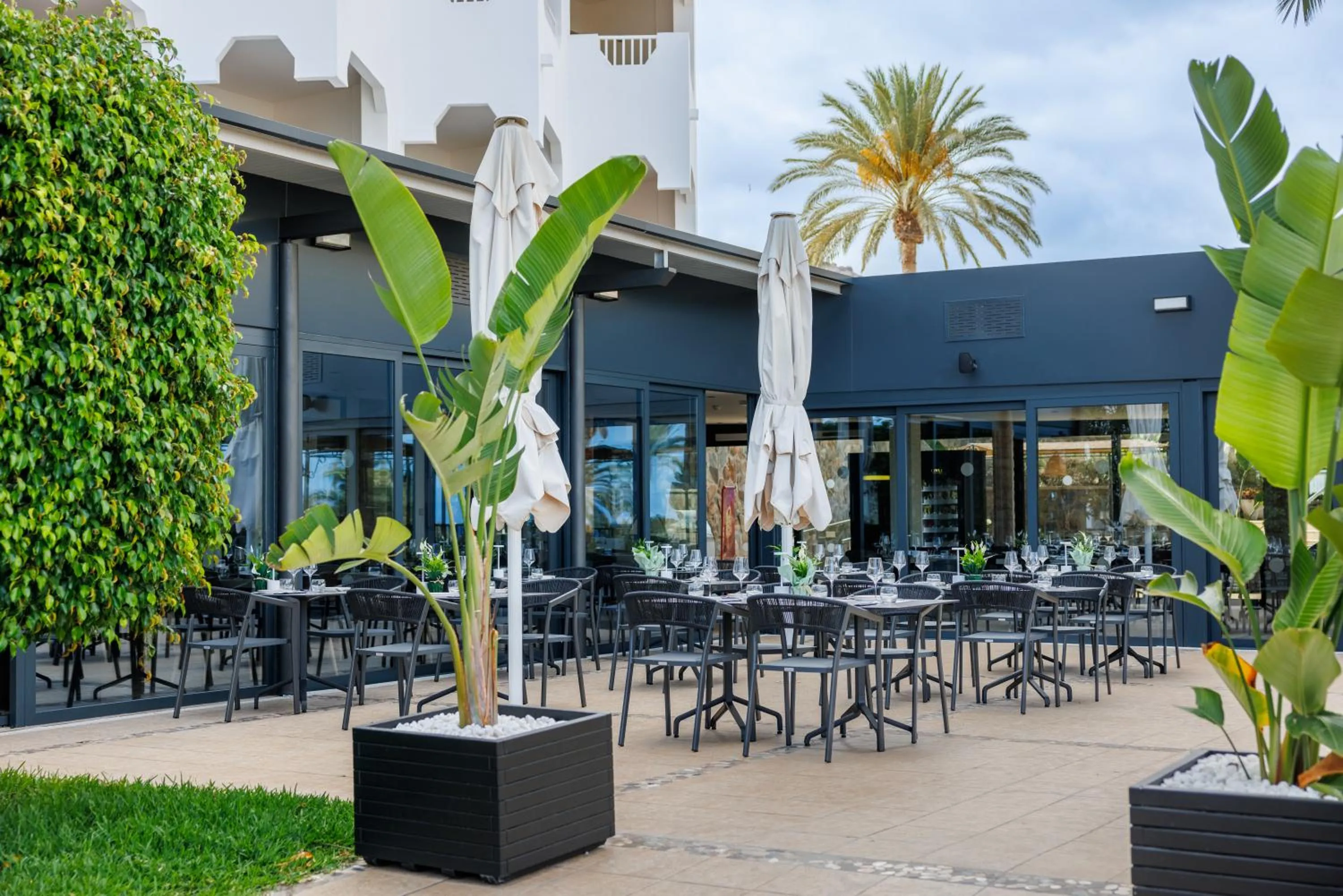 Garden in Hapimag San Agustín